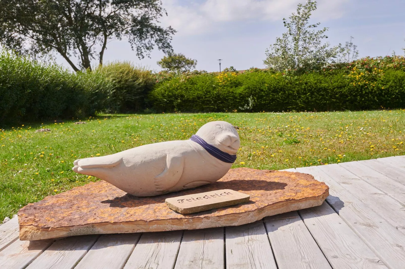 4 etoiles maison de vacances a FRIEDRICHKOOG