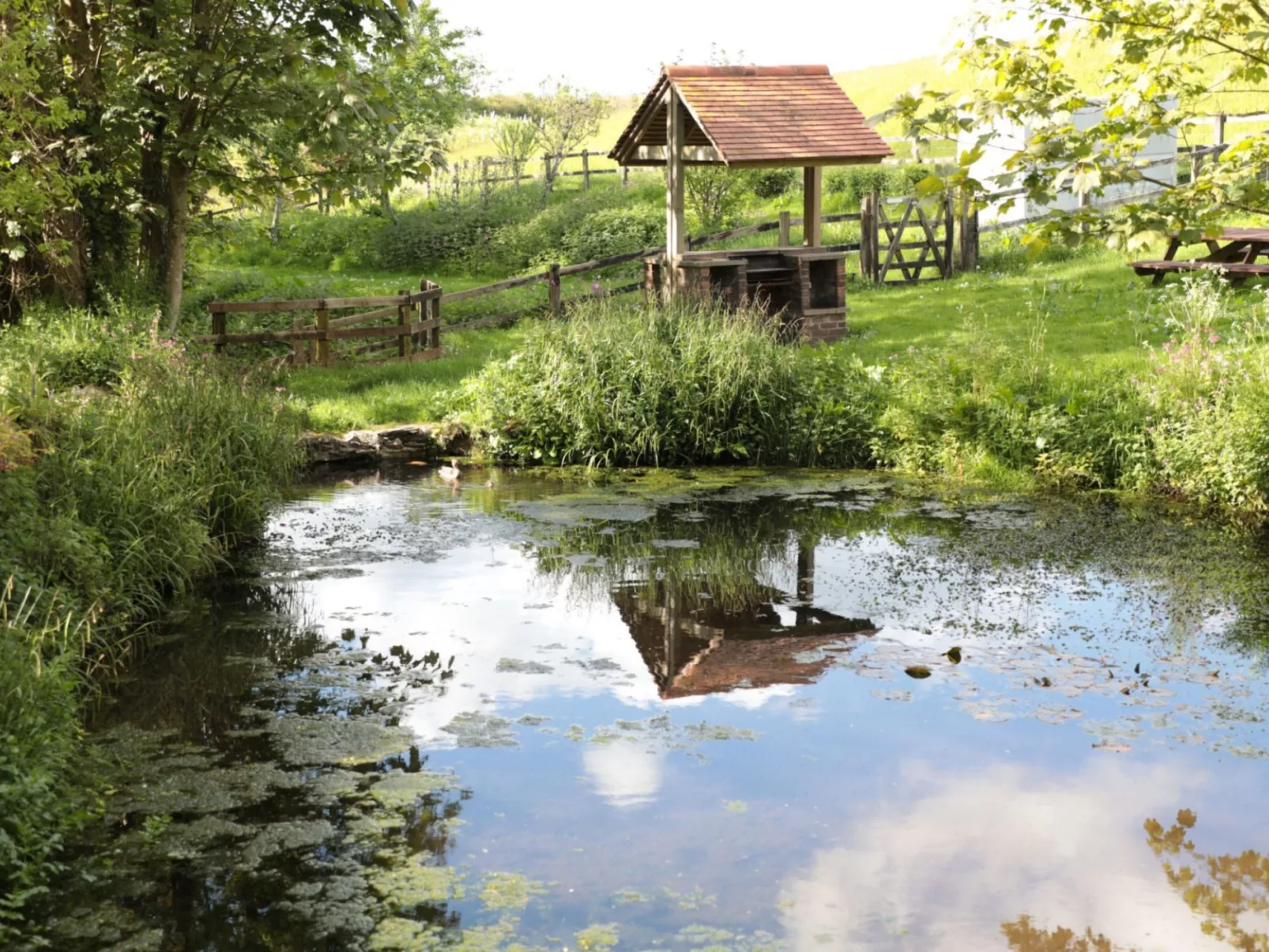 Cherry at Buckland Court