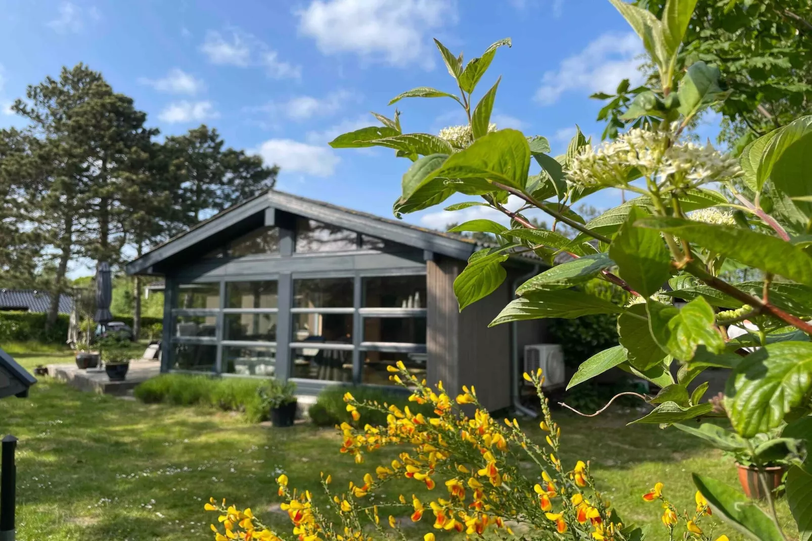 5 Sterne Ferienhaus in Rødby