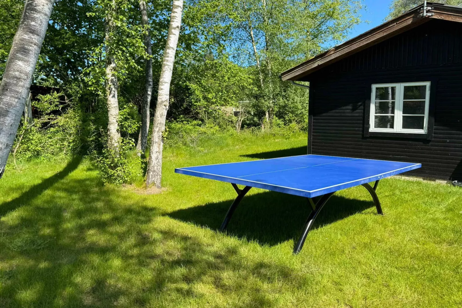 5 star holiday home in Grevinge