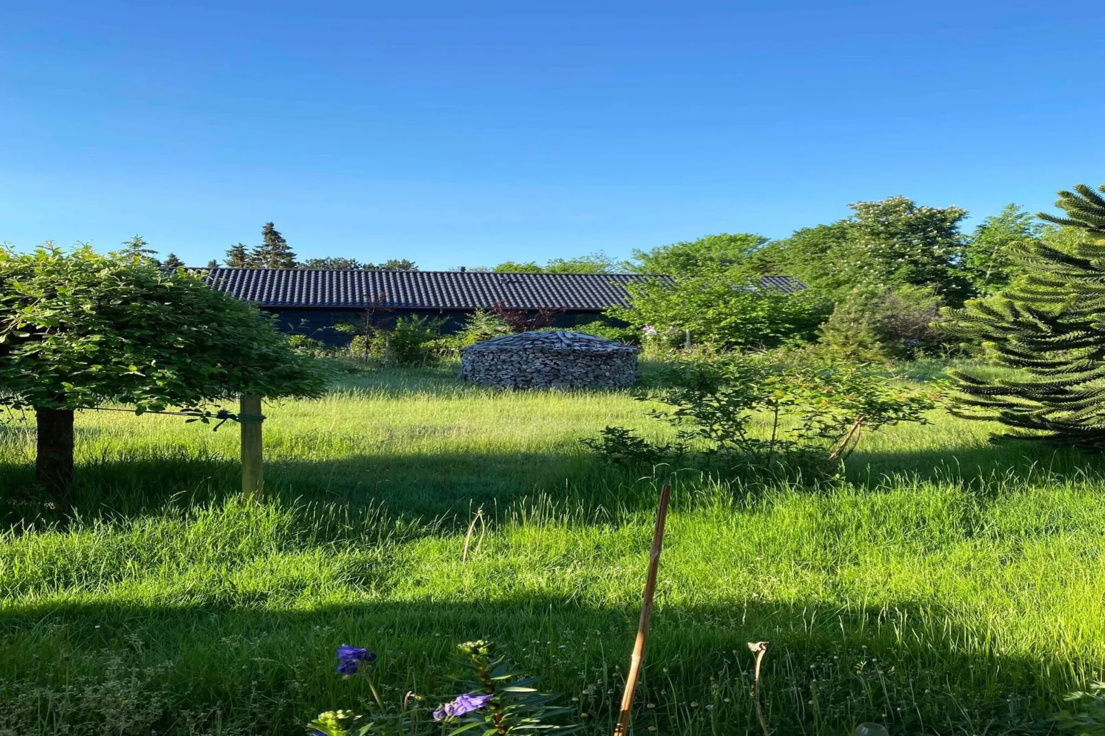 5 star holiday home in Hundested