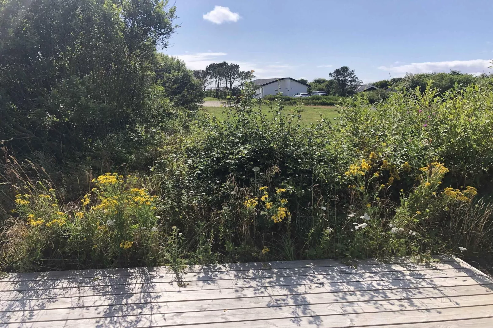 5 etoiles maison de vacances a Vestervig