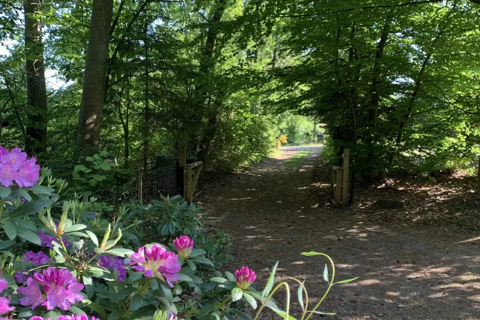 5 etoiles maison de vacances a Hornbæk