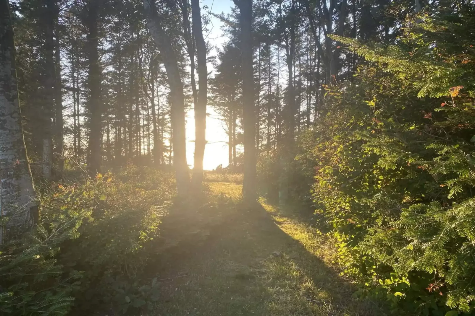 5 star holiday home in Spøttrup