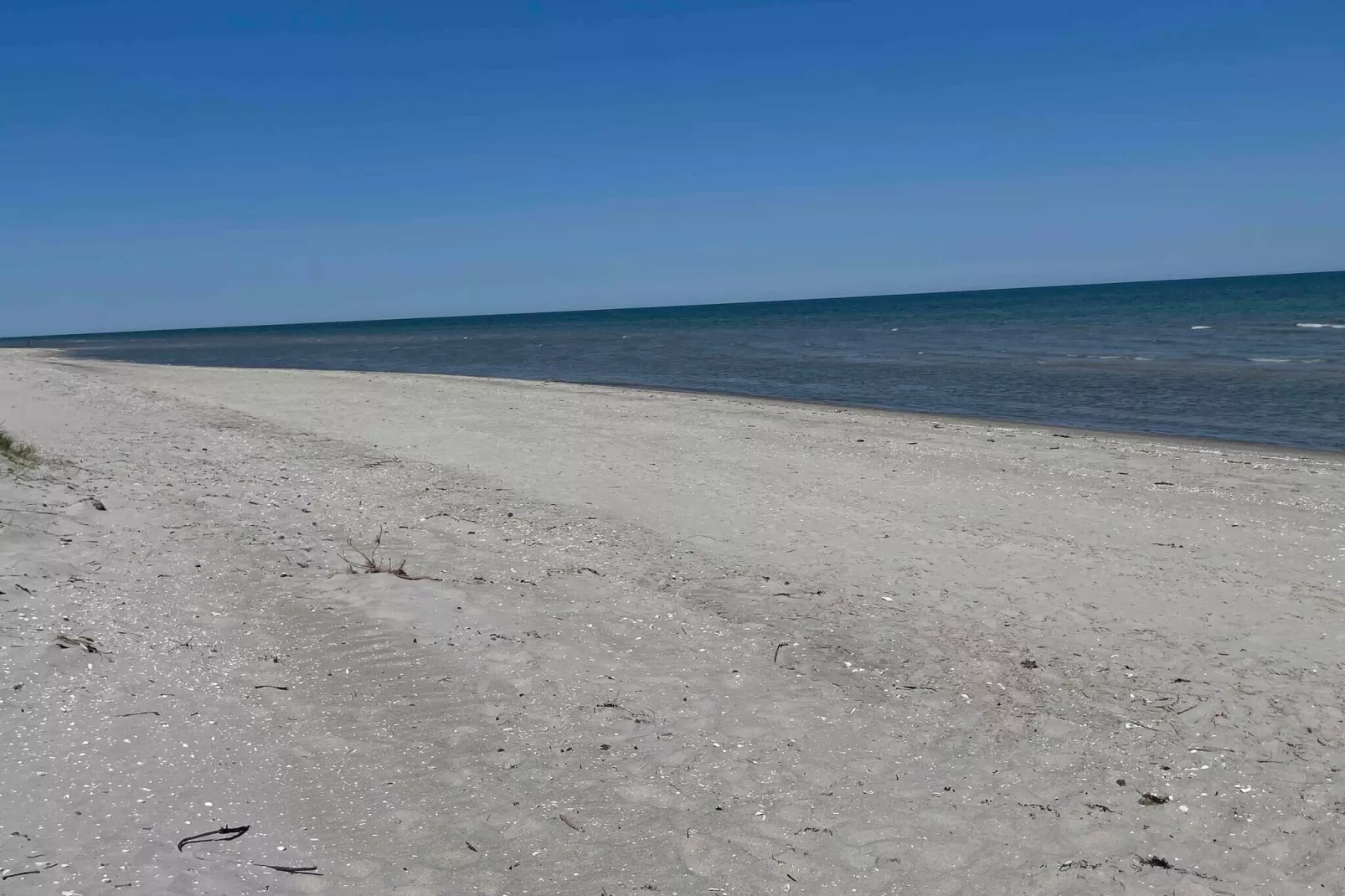 5 Sterne Ferienhaus in Sæby