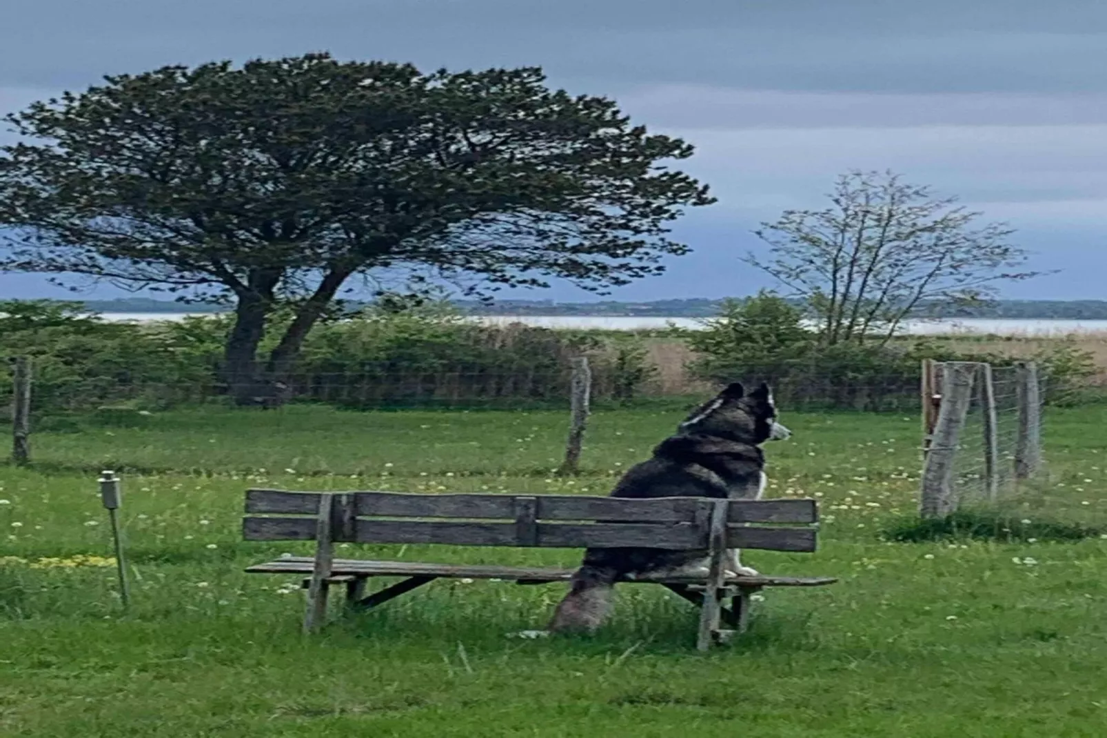 5 star holiday home in Holbæk