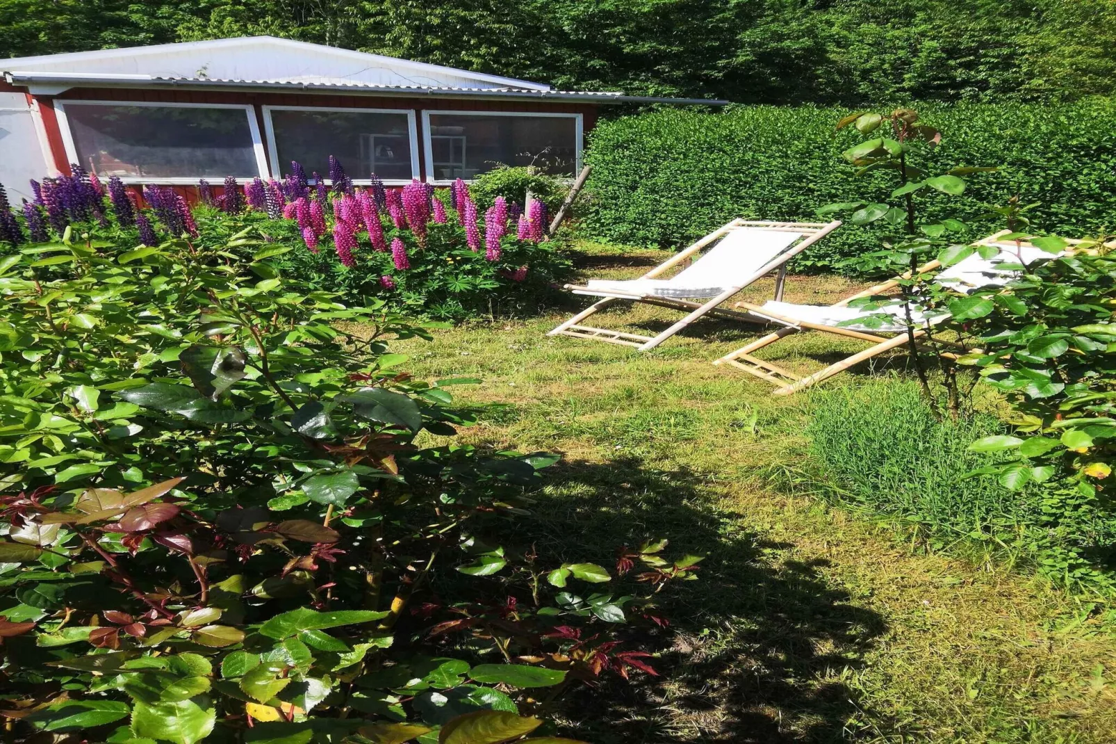 5 star holiday home in Svaneke