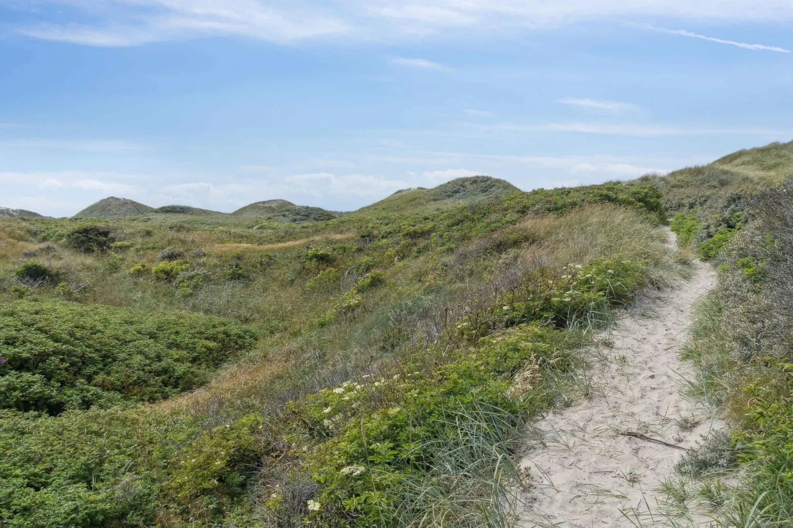 4 etoiles maison de vacances a Pandrup