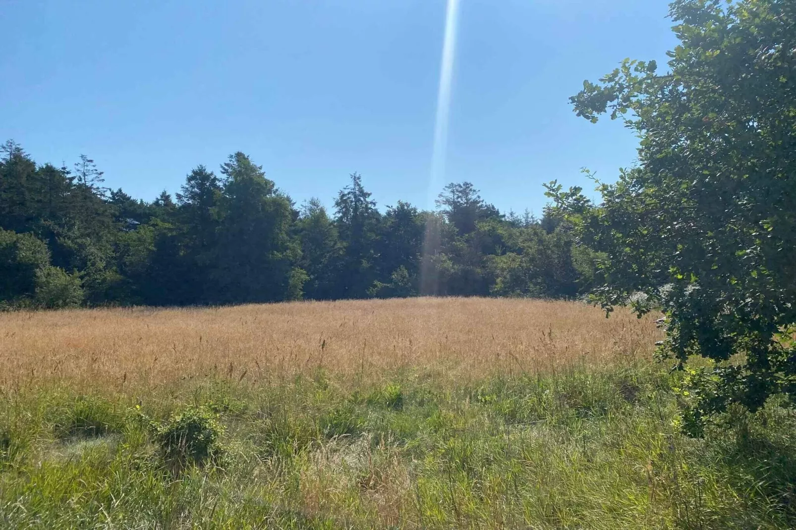 4 star holiday home in Hadsund