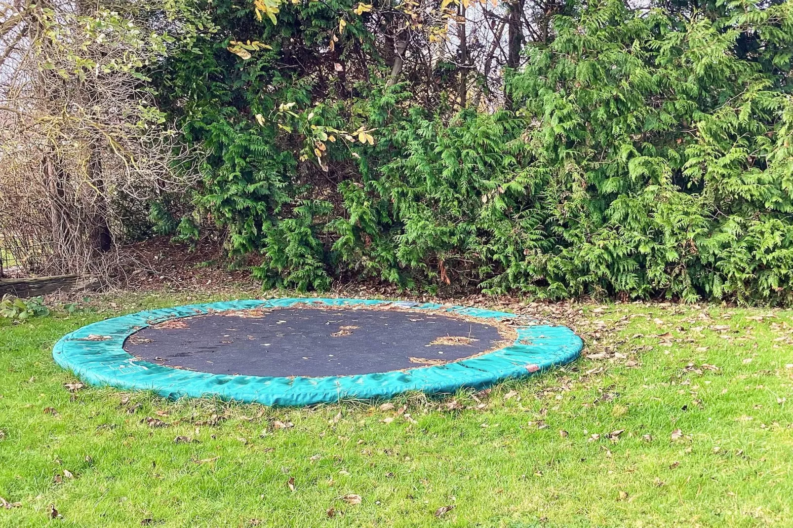 Haustierfreundliche Unterkunft in Strandnähe