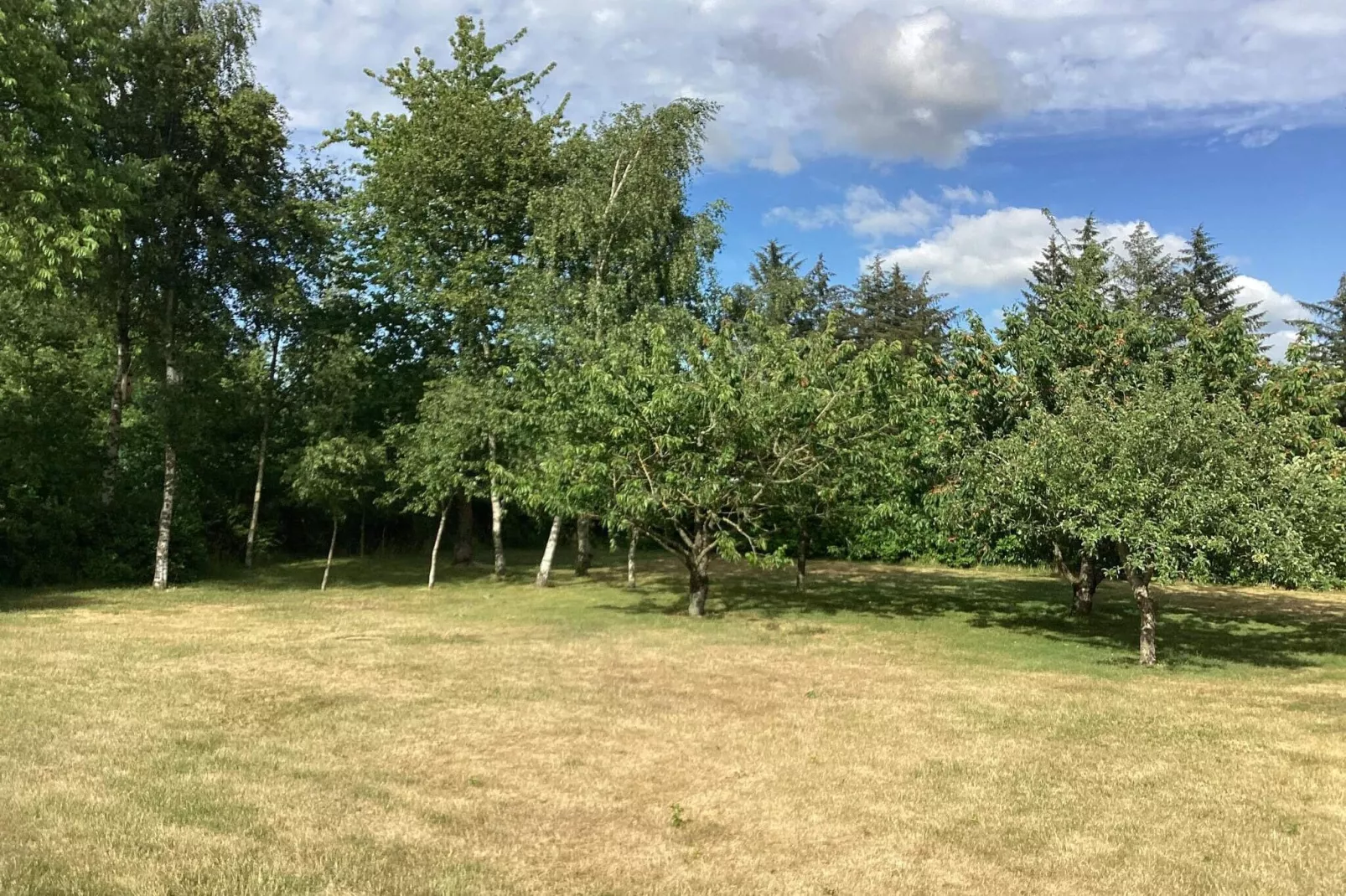 Maison de vacances pour 8 a Højslev-By Traum