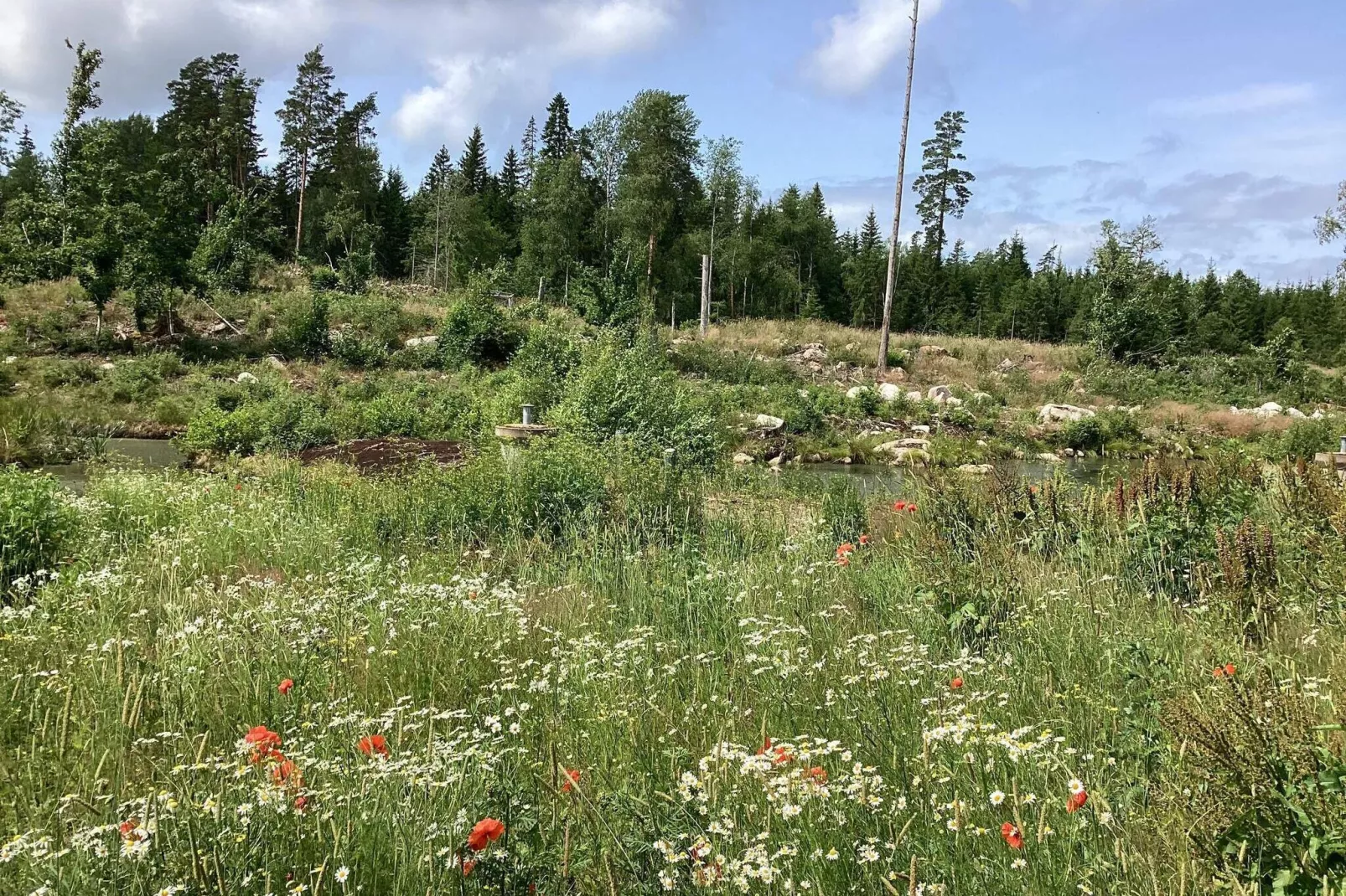 4 Personen Ferienhaus in TRANÅS-By Traum-Außenbereich