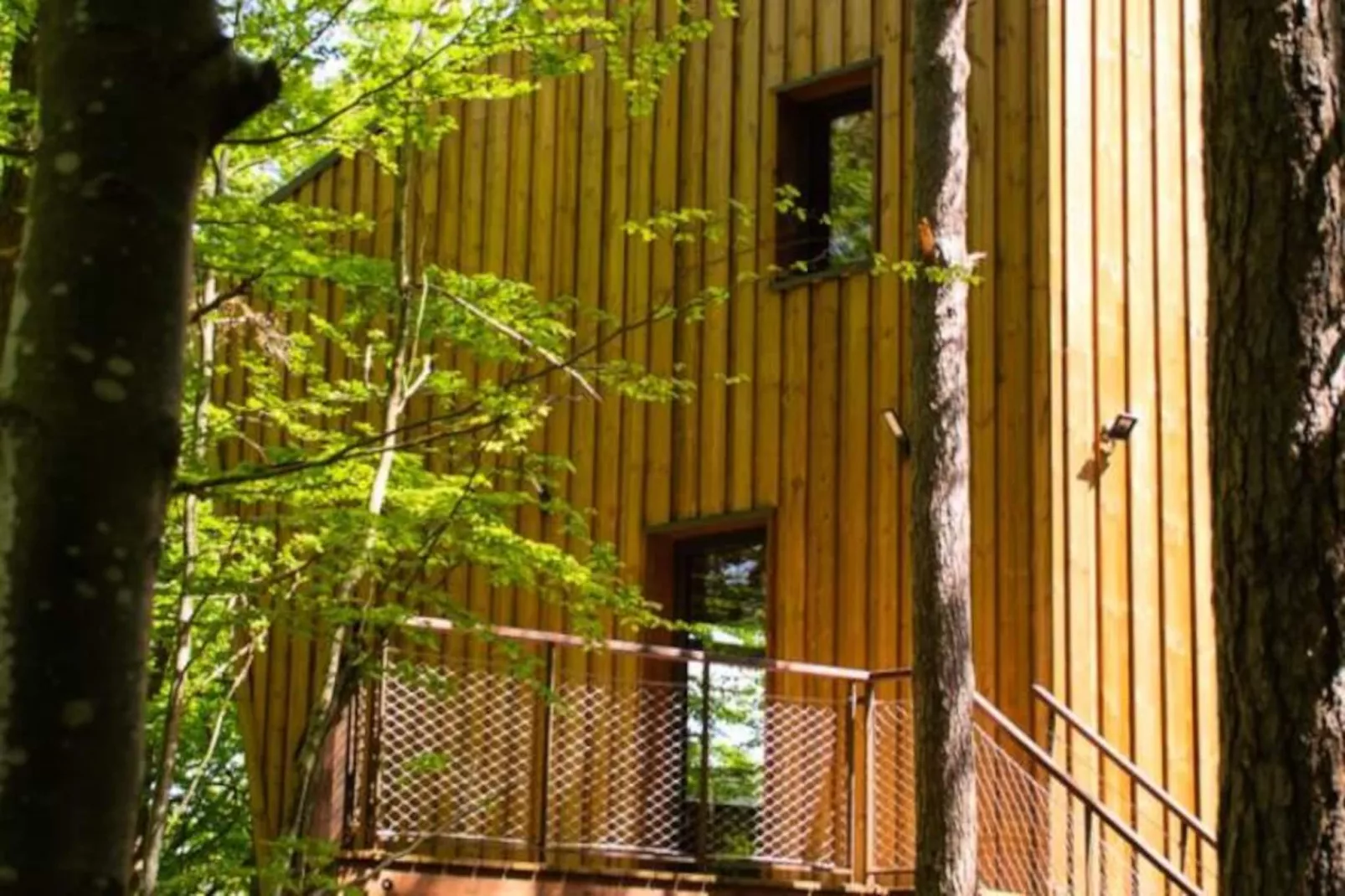Gîte Cabane insolite dans les cévennes – les sous-bois 3 étoiles