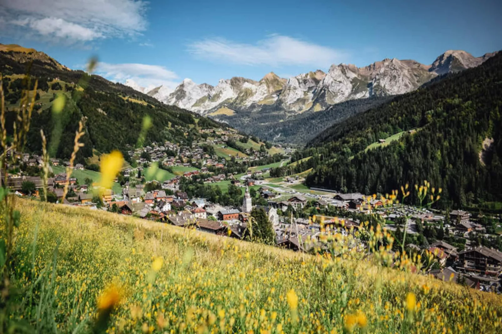 Résidence Bel Alp N°29