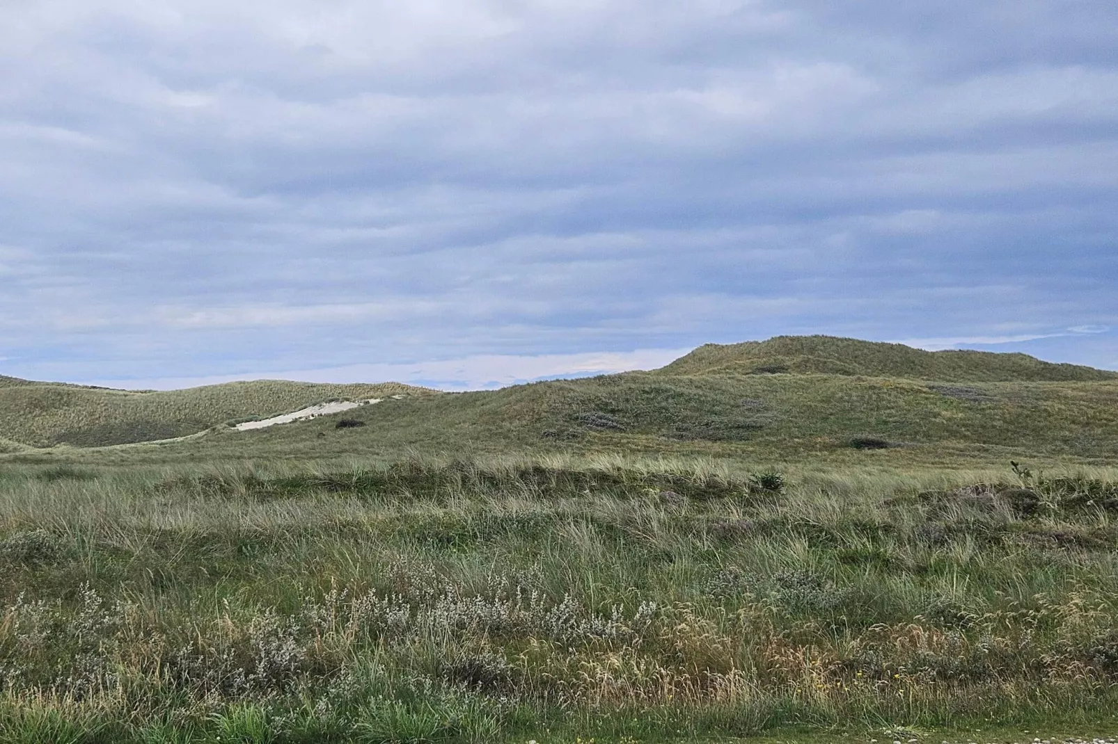 6 person holiday home in Ulfborg-Untagged