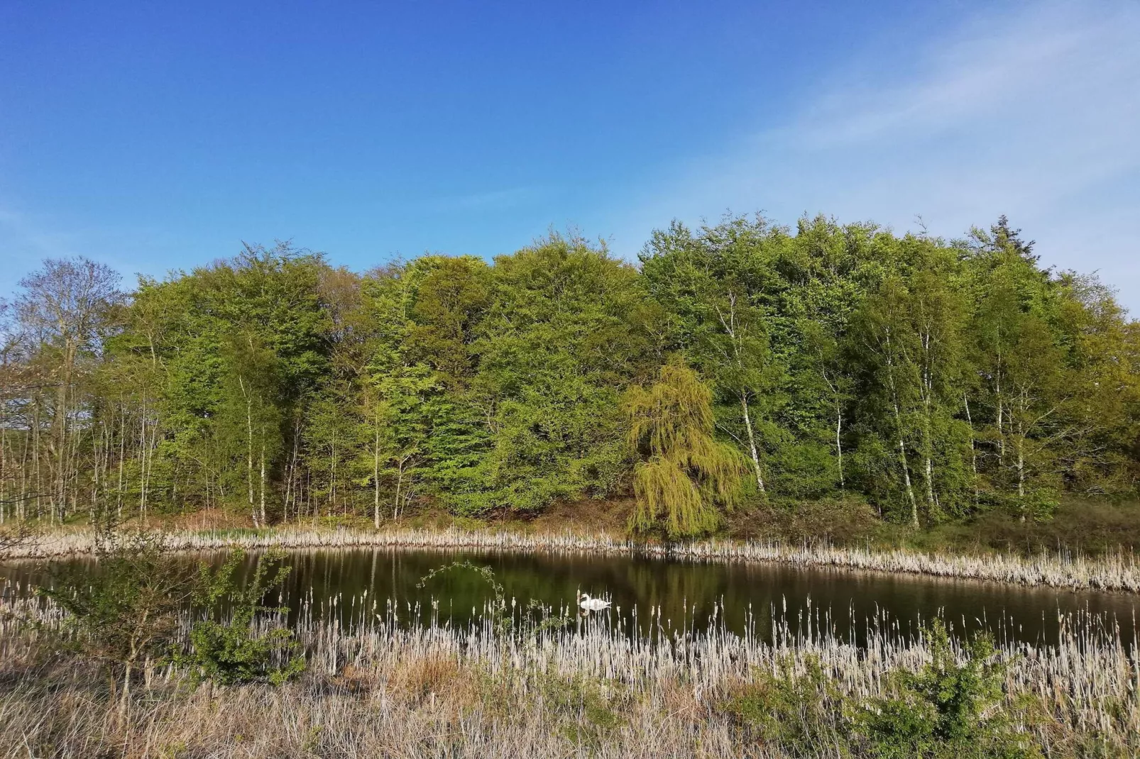 Meeresruhe am Fuglsovig-By Traum-Nicht zugeordnet