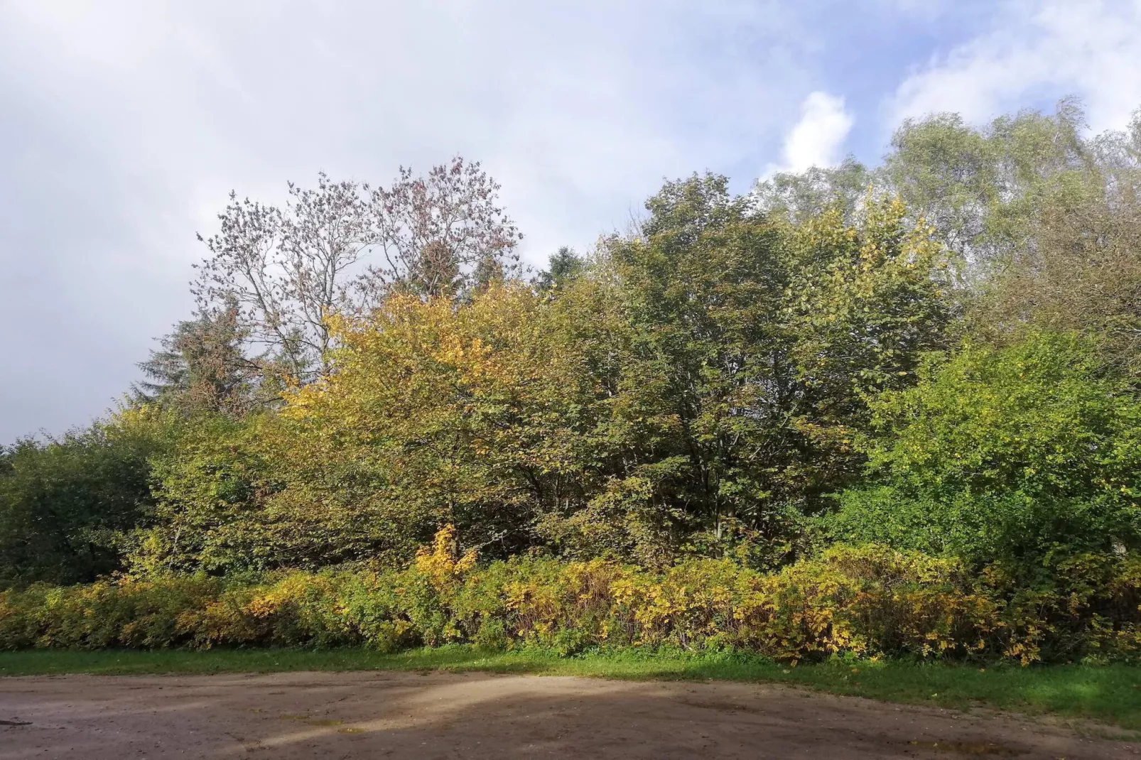 Maison de vacances pour 6 a Ansager-Non tagué