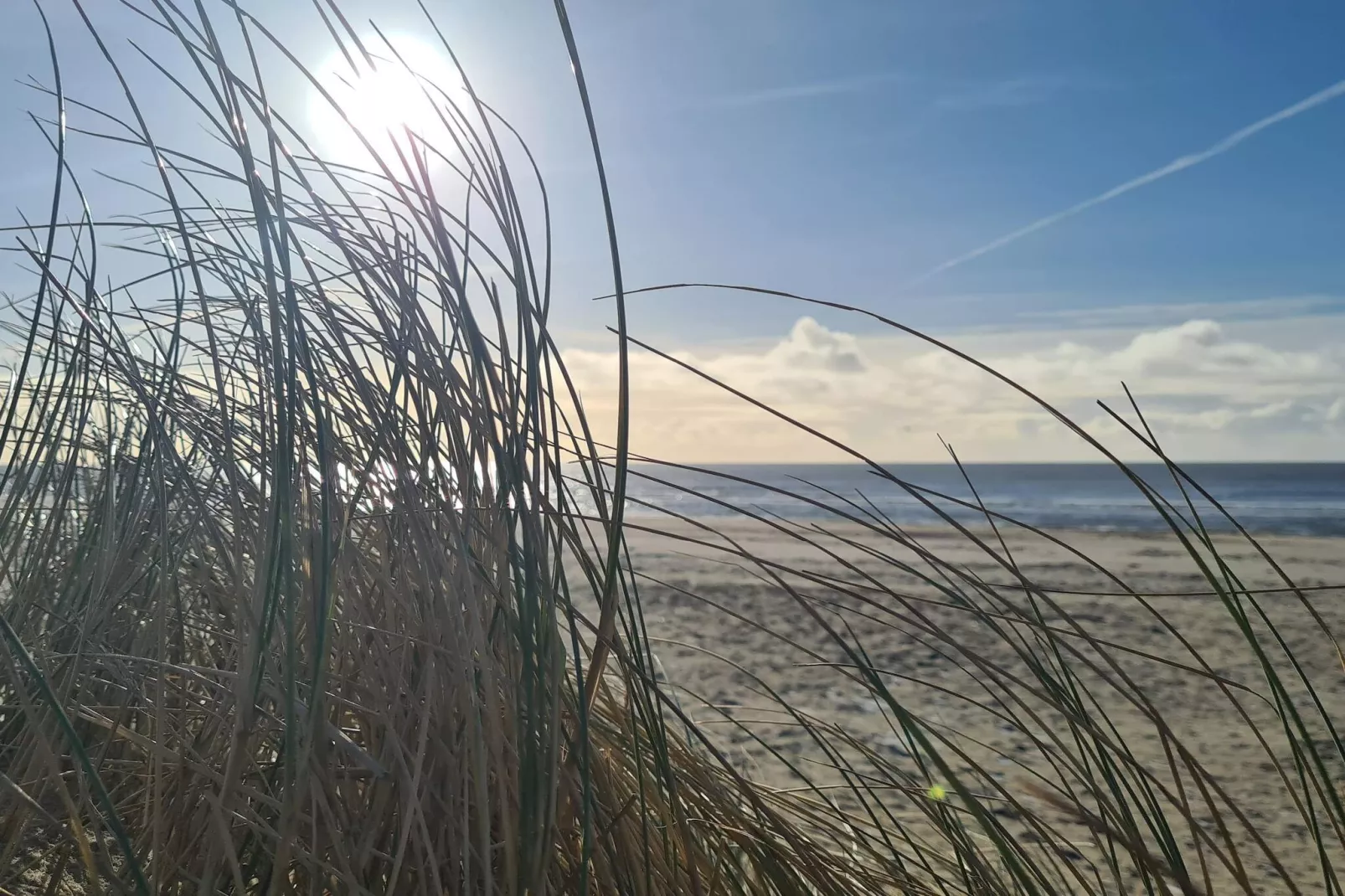 Luxus-Oase in Blavand-By Traum-Nicht zugeordnet