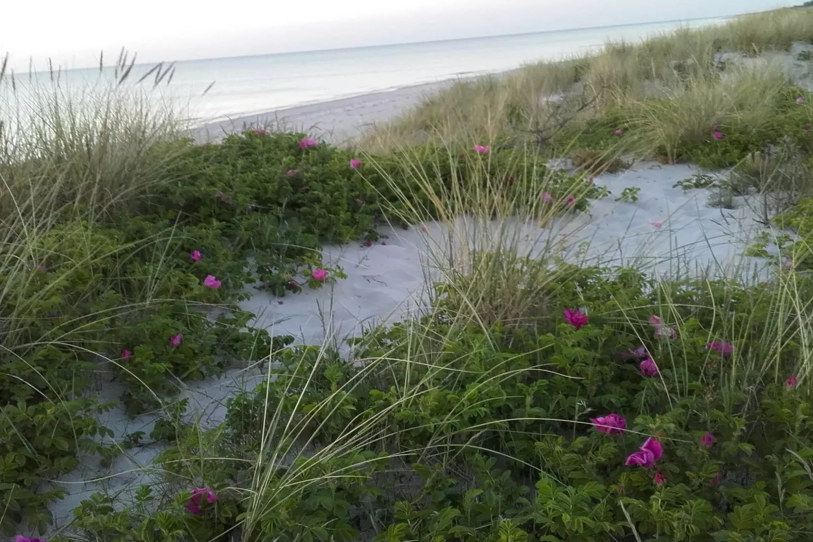 Retraite confortable a Rorvig Haven-By Traum-Non tagué