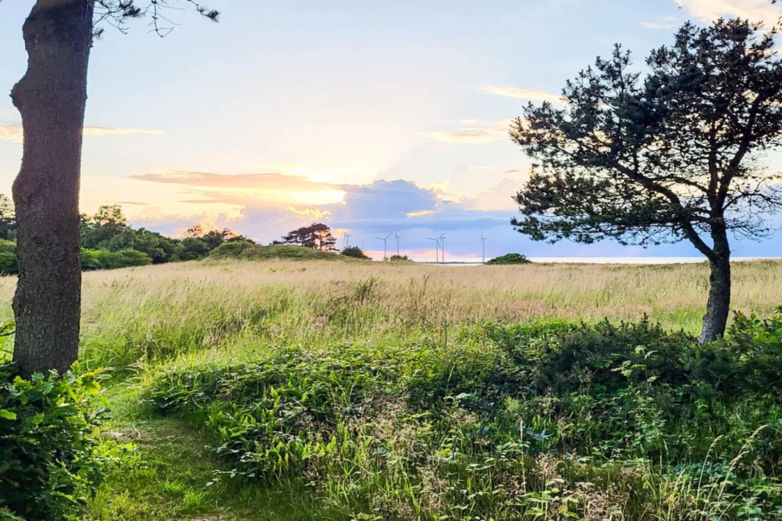 Maison de vacances pour 6 a Glesborg-Extérieur