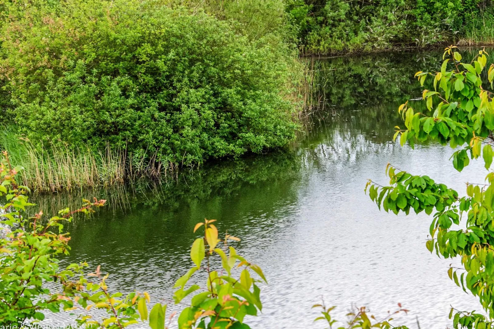 4 person holiday home in Assens-Water view