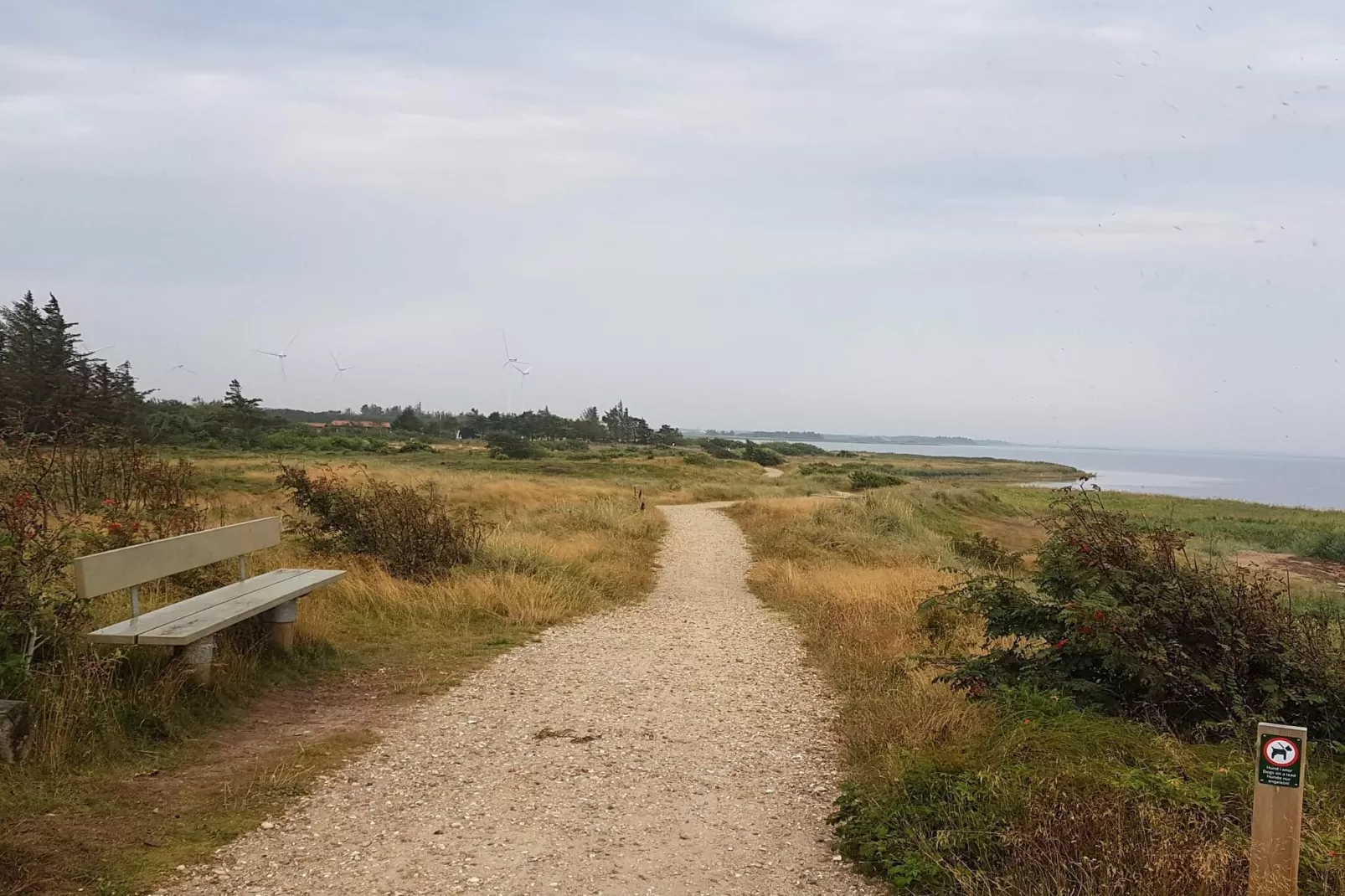 Idyllic Danish Farmhouse Retreat-By Traum-Untagged