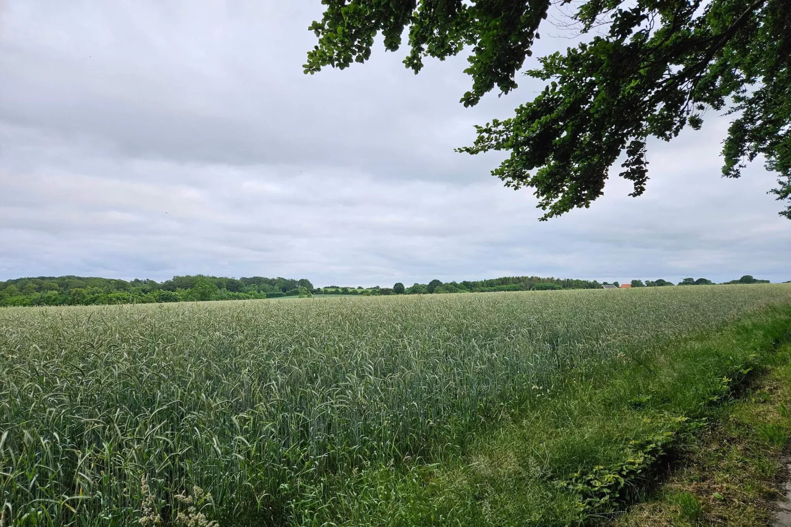 6 Personen Ferienhaus in Hejls