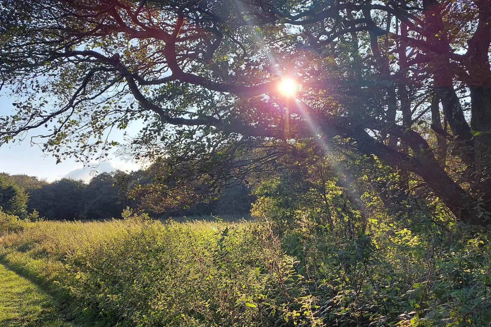 Maison de vacances pour 6 a Ebeltoft-Non tagué