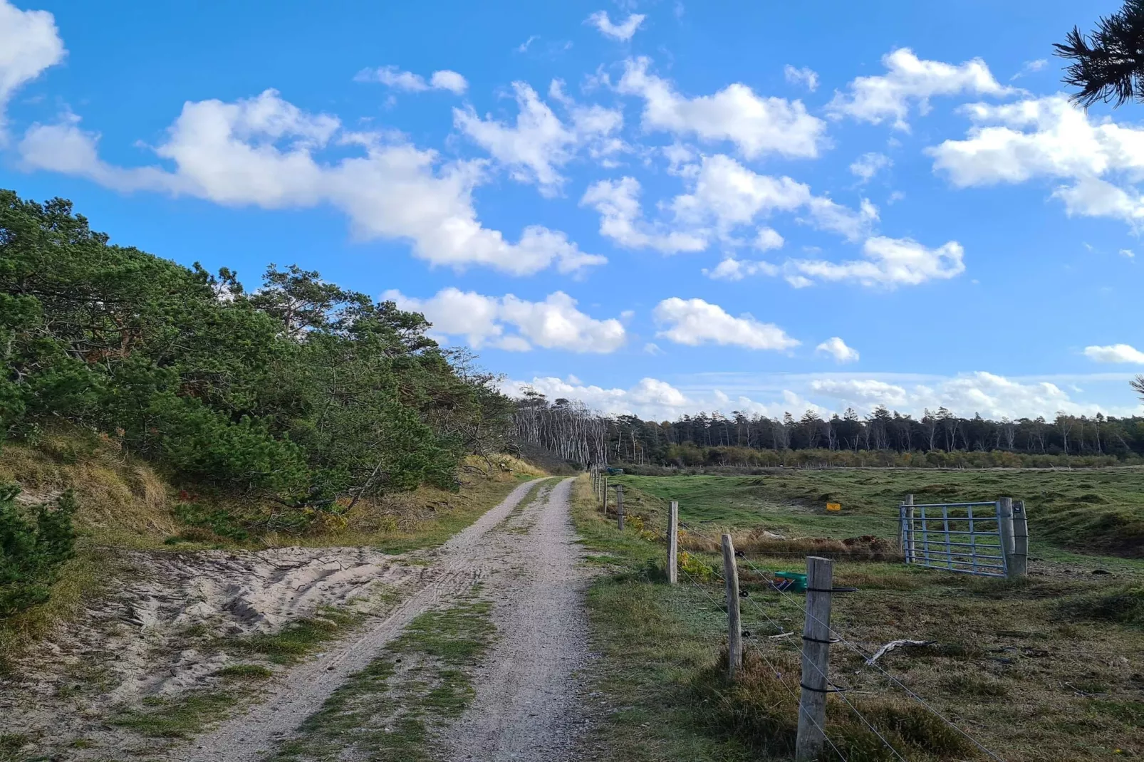 Maison de vacances pour 24 a Frederiksværk-Non tagué