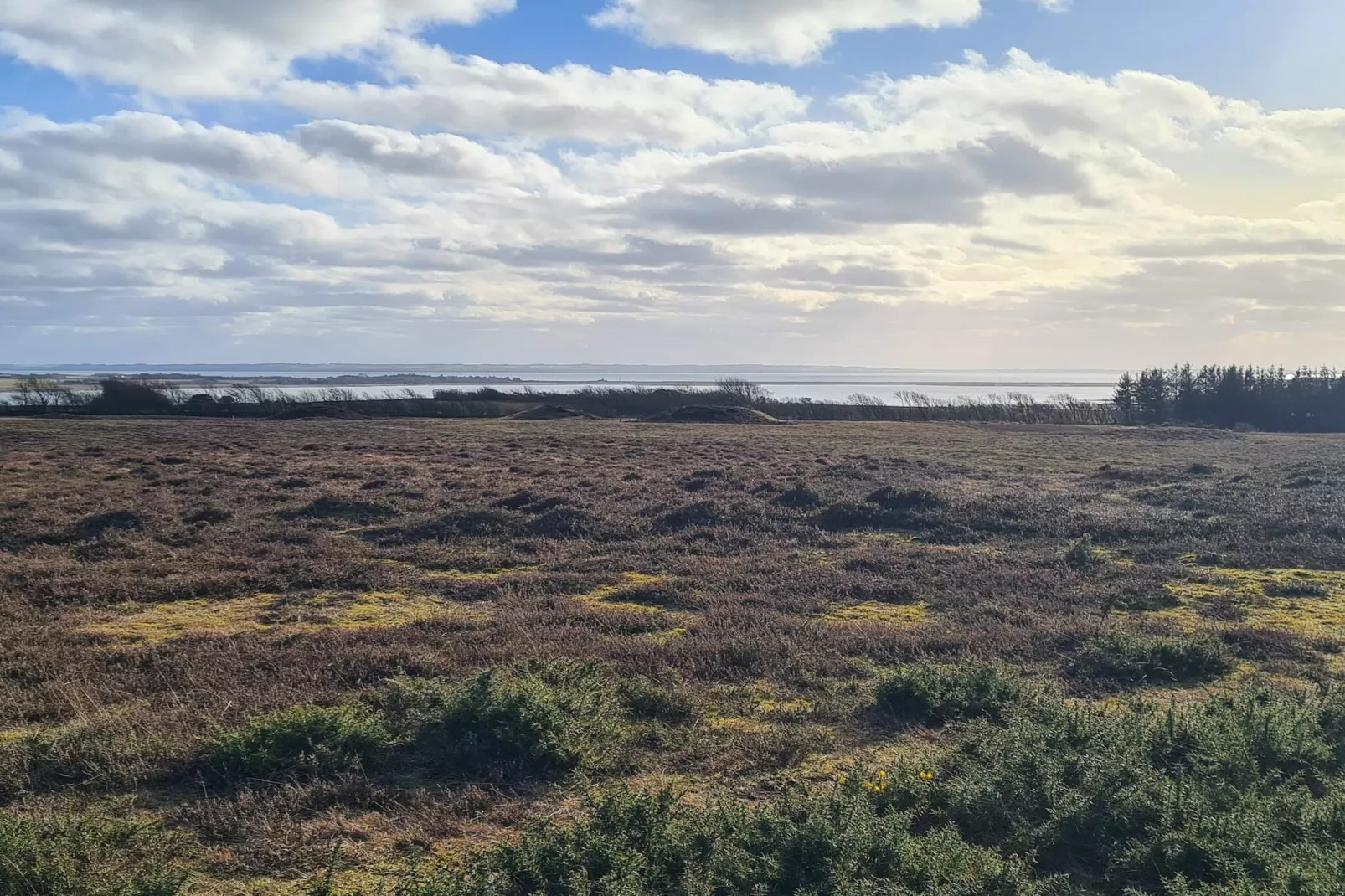 5 person holiday home in Hurup Thy-Untagged