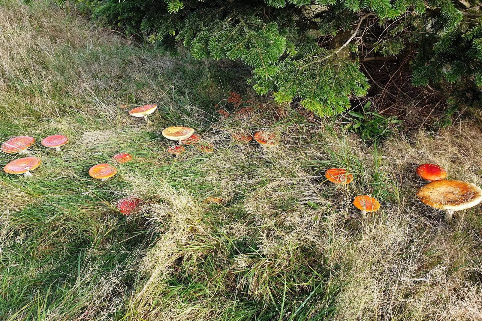 10 person holiday home in Væggerløse-Untagged