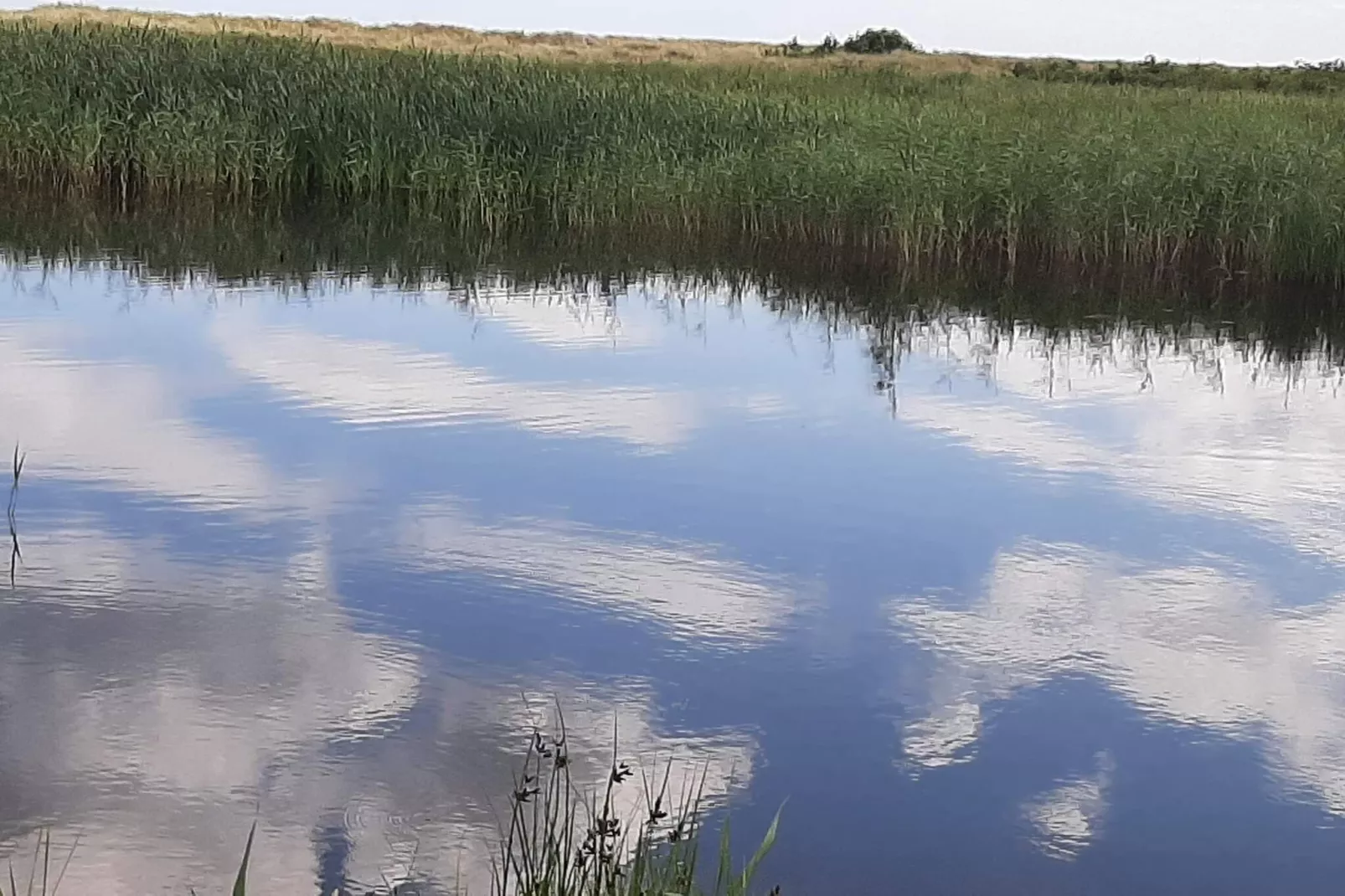 5 Personen Ferienhaus in Hals-Wasserblick