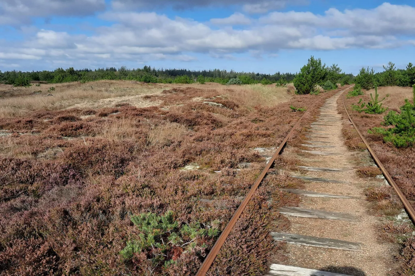 4 person holiday home in Nørre Nebel-Untagged