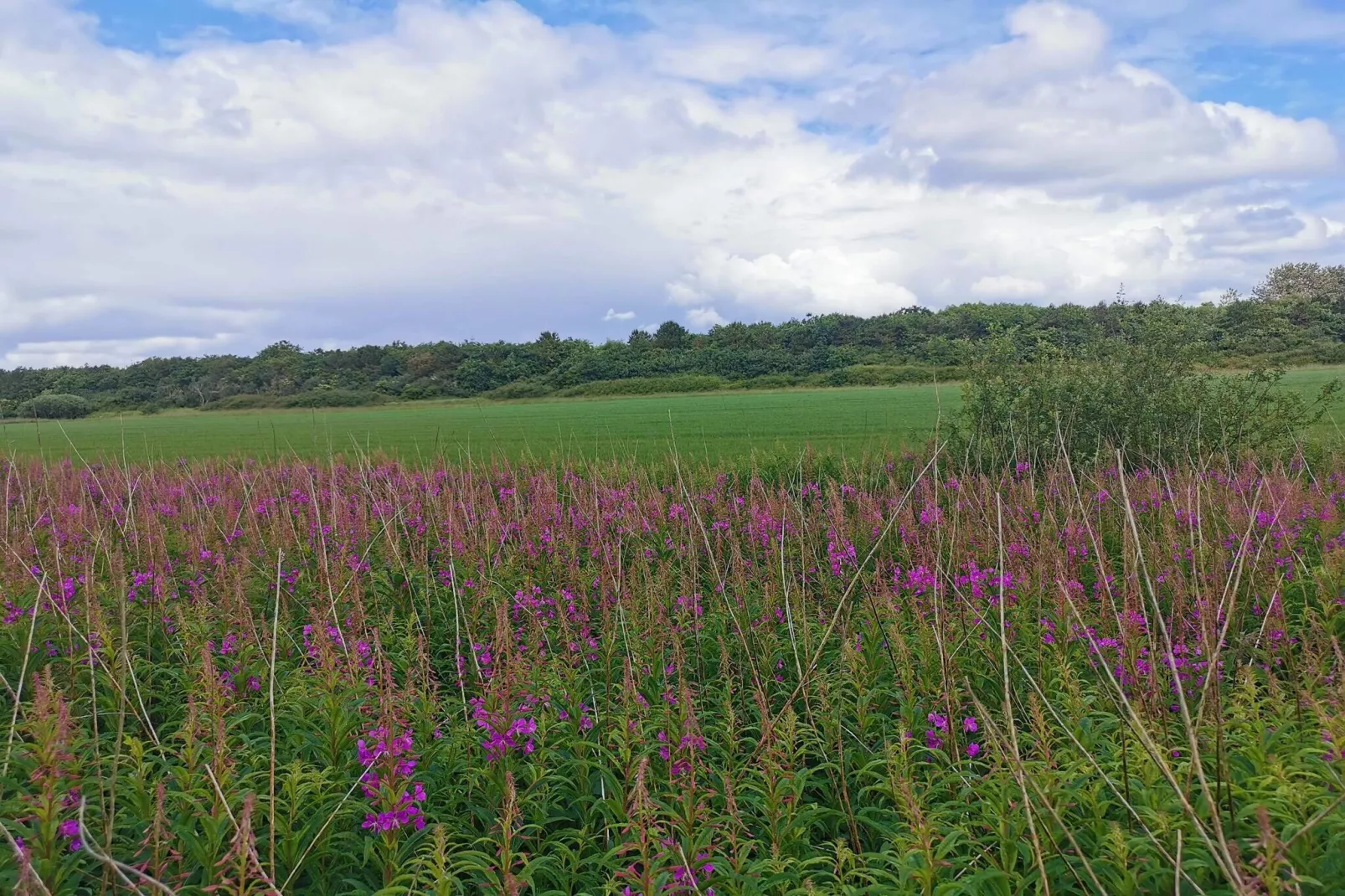 Maison de vacances pour 4 a Nørre Nebel-Non tagué