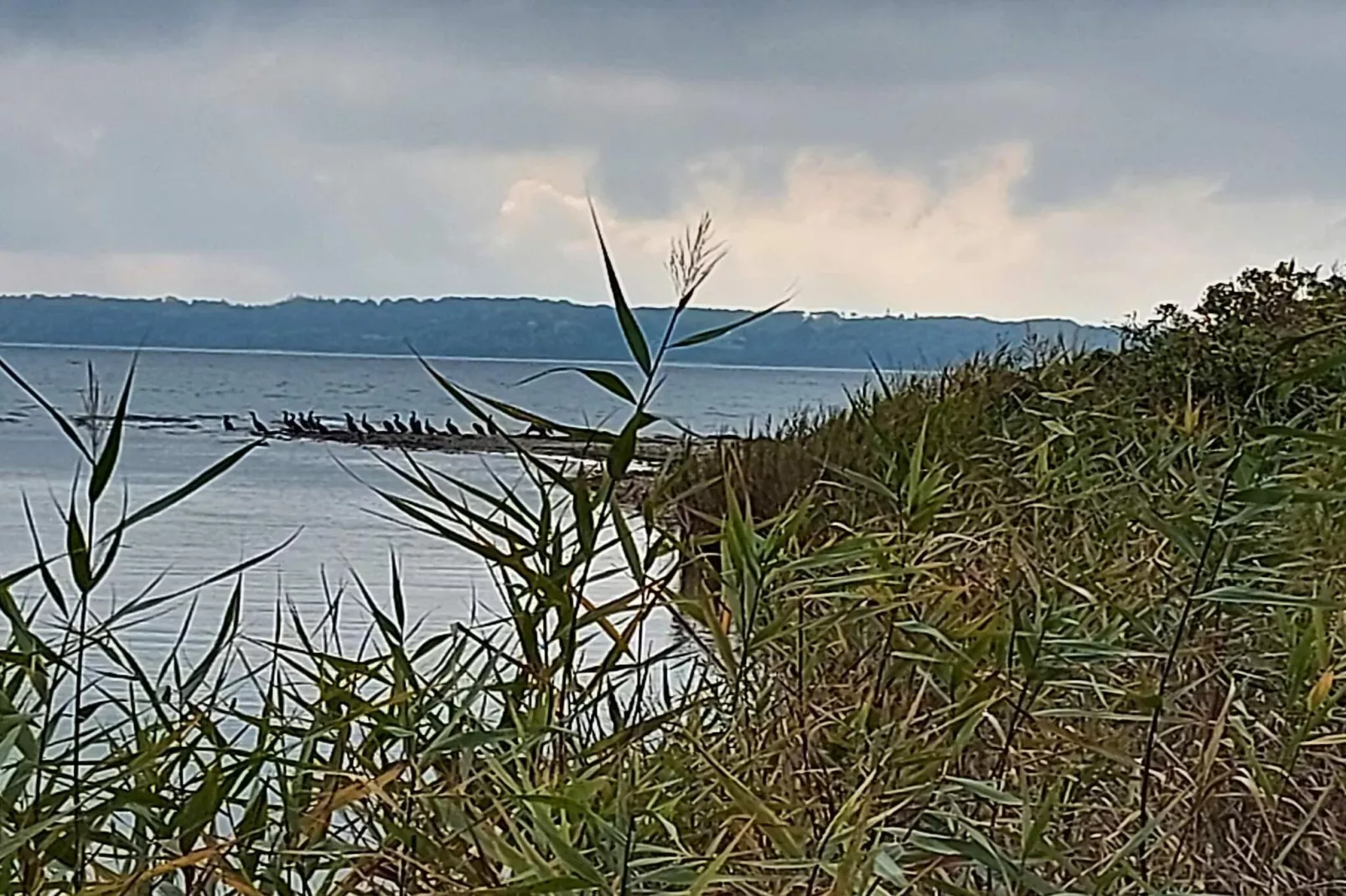 6 Personen Ferienhaus in Sjølund-Wasserblick