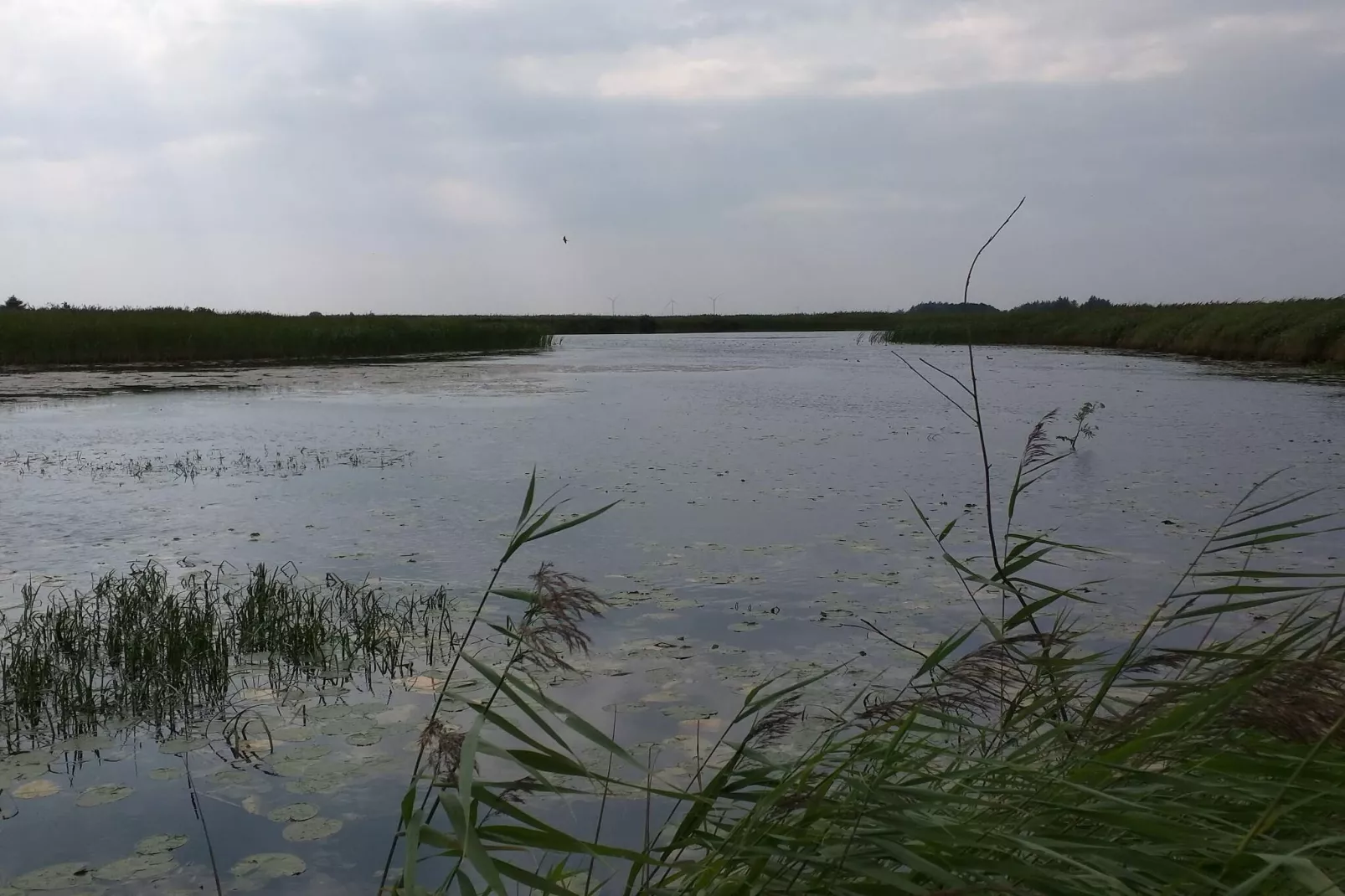 12 person holiday home in Højer-Water view