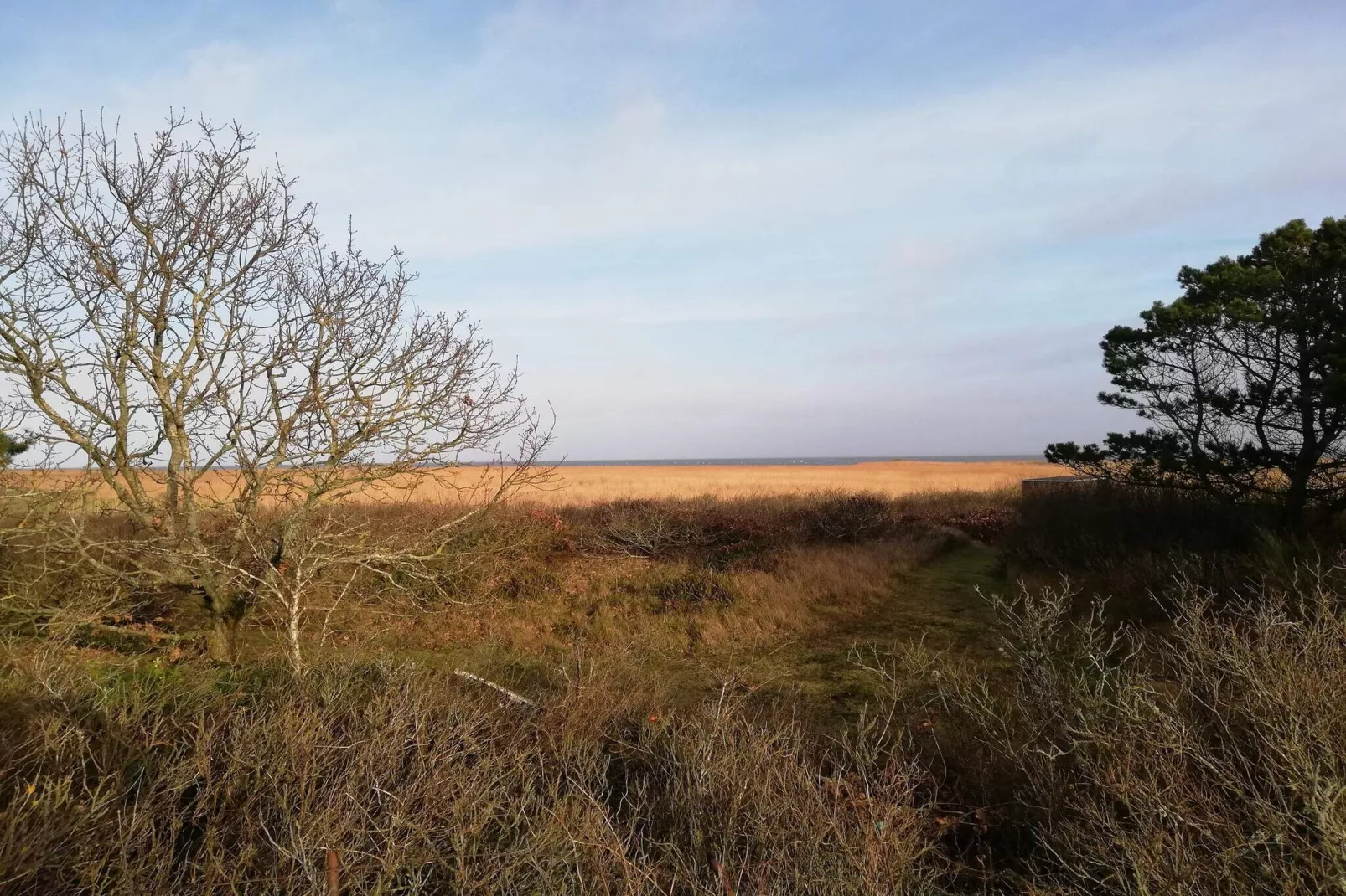 Maison de vacances pour 6 a Hvide Sande-Non tagué