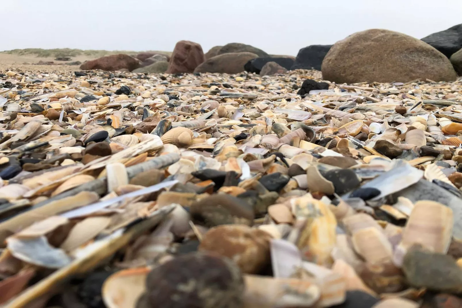 Maison de vacances pour 6 a Blåvand-Non tagué