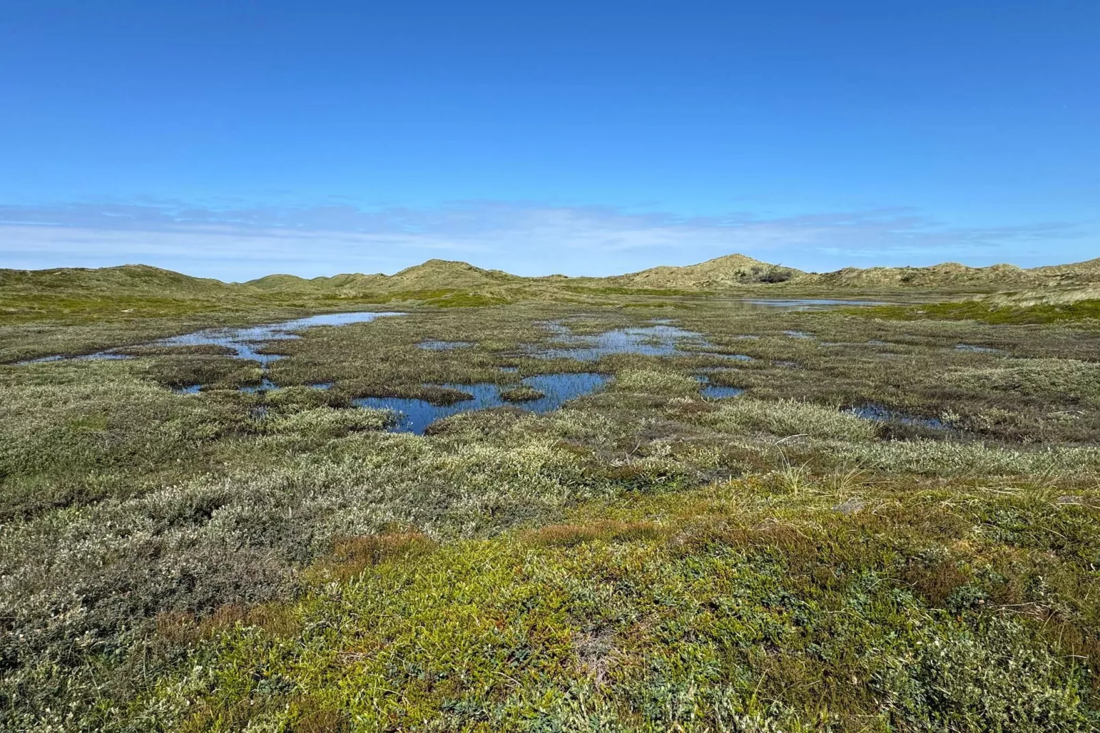 14 Personen Ferienhaus in Ulfborg-Wasserblick