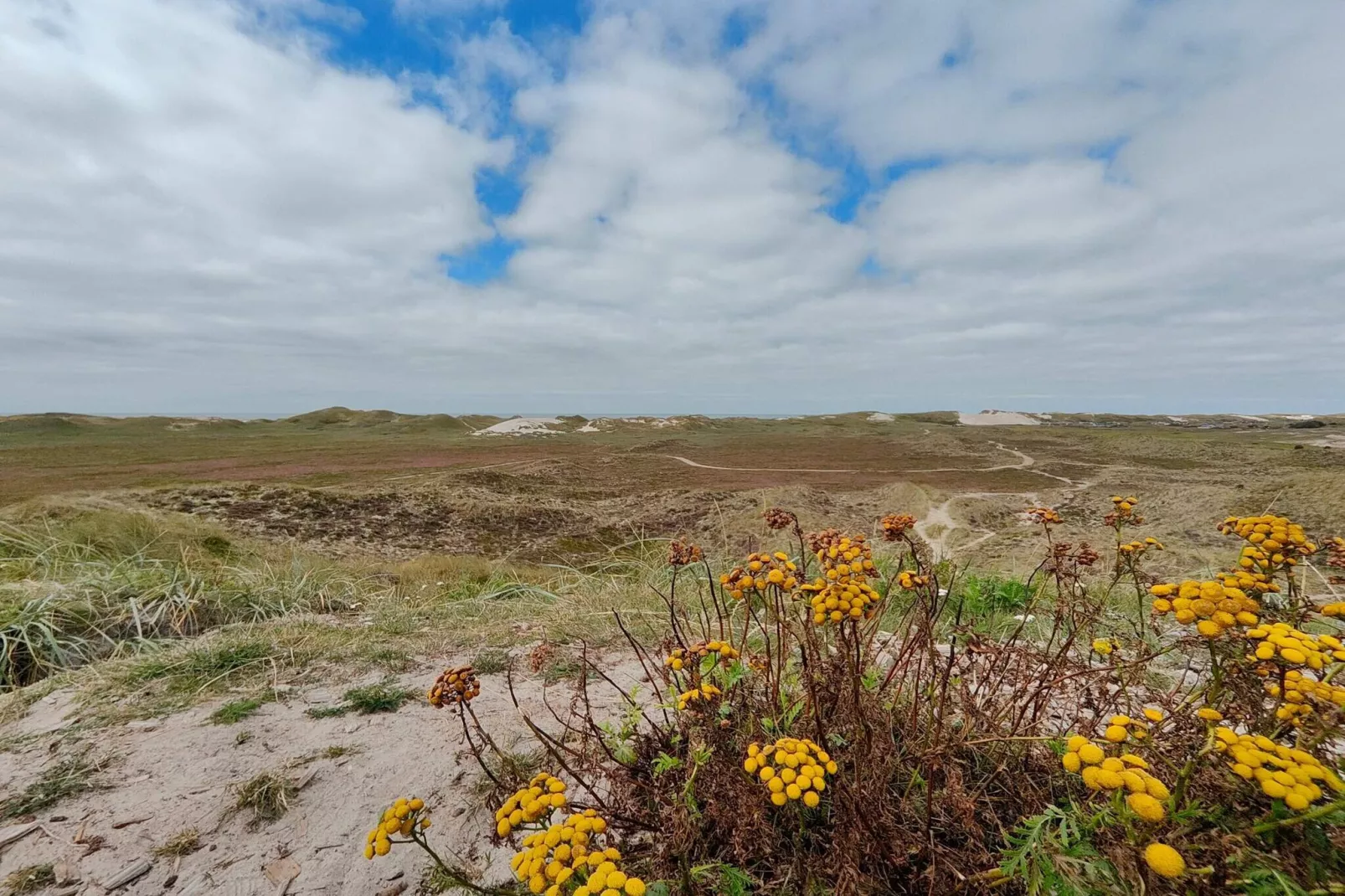 Cozy Dune Cottage Retreat-By Traum-Untagged
