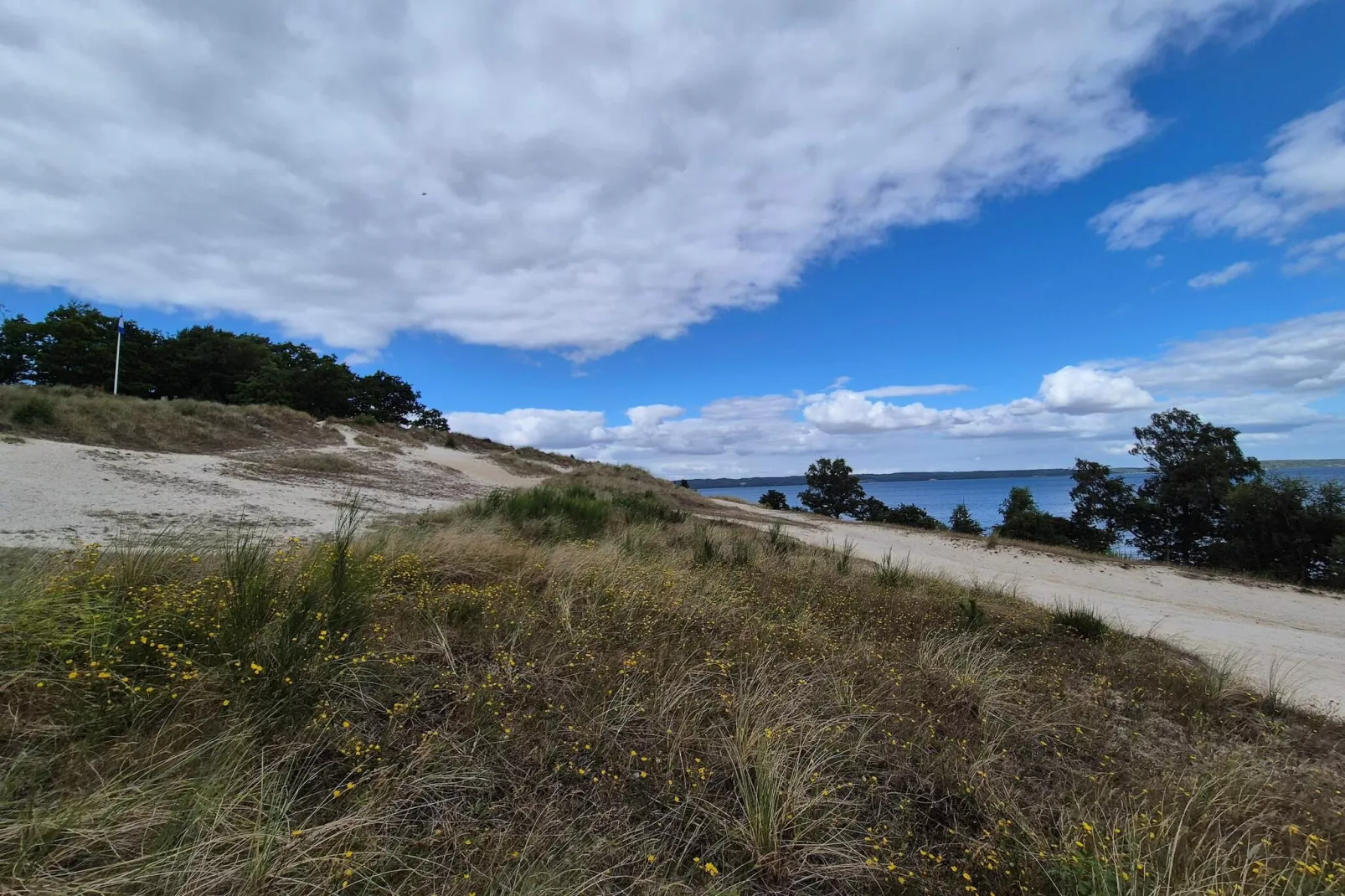 8 person holiday home in Børkop-Untagged