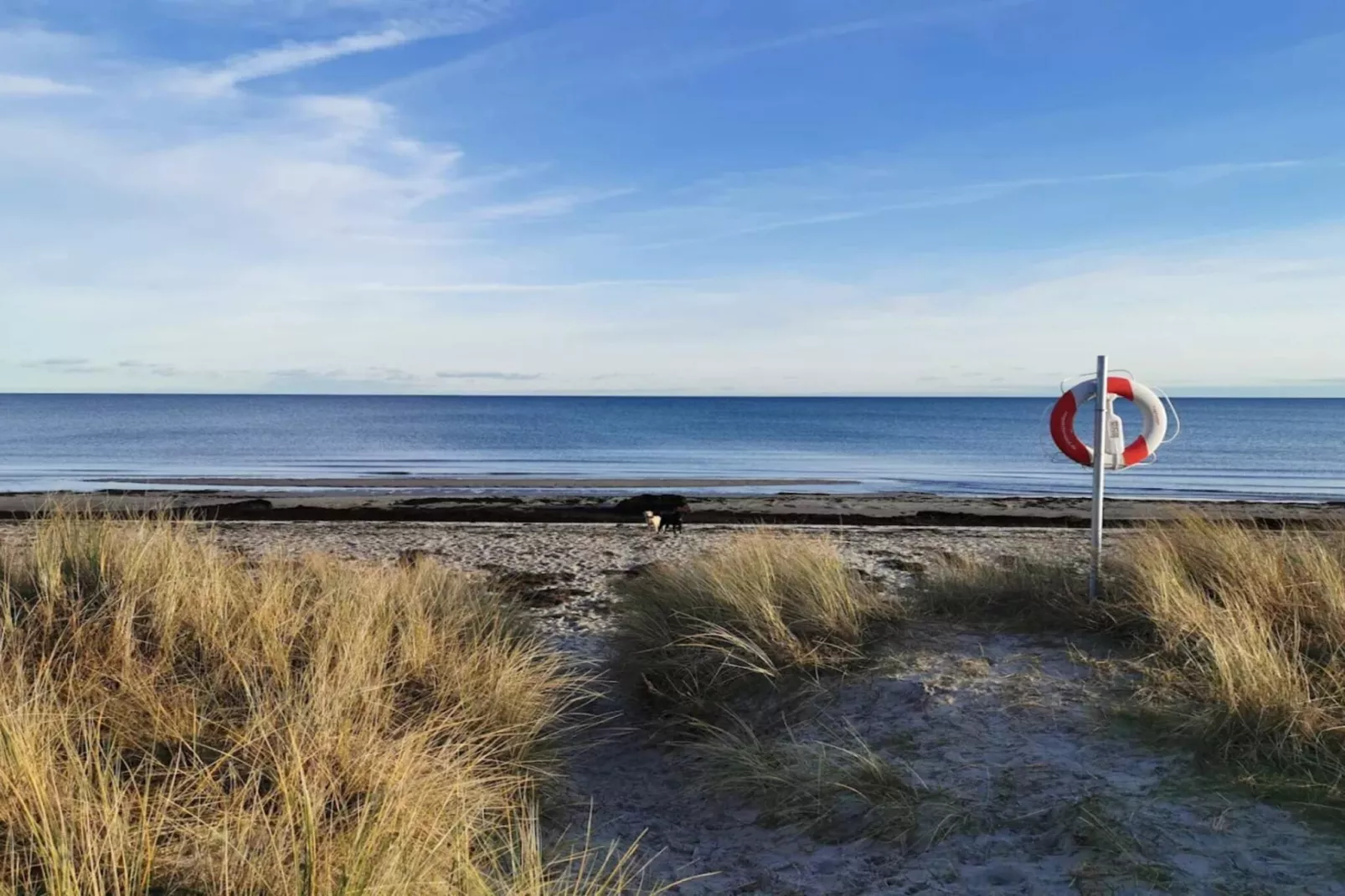 Maison de vacances pour 8 a Væggerløse