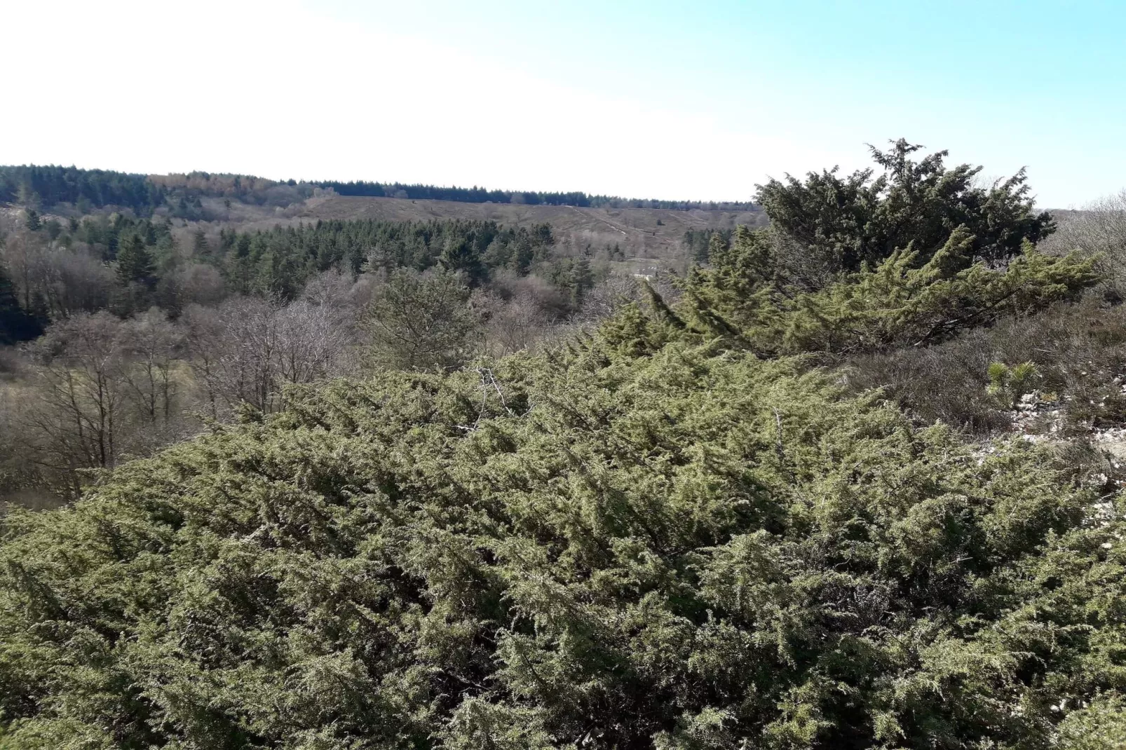 Helle Cottage-Oase in Silkeborg-By Traum-Nicht zugeordnet