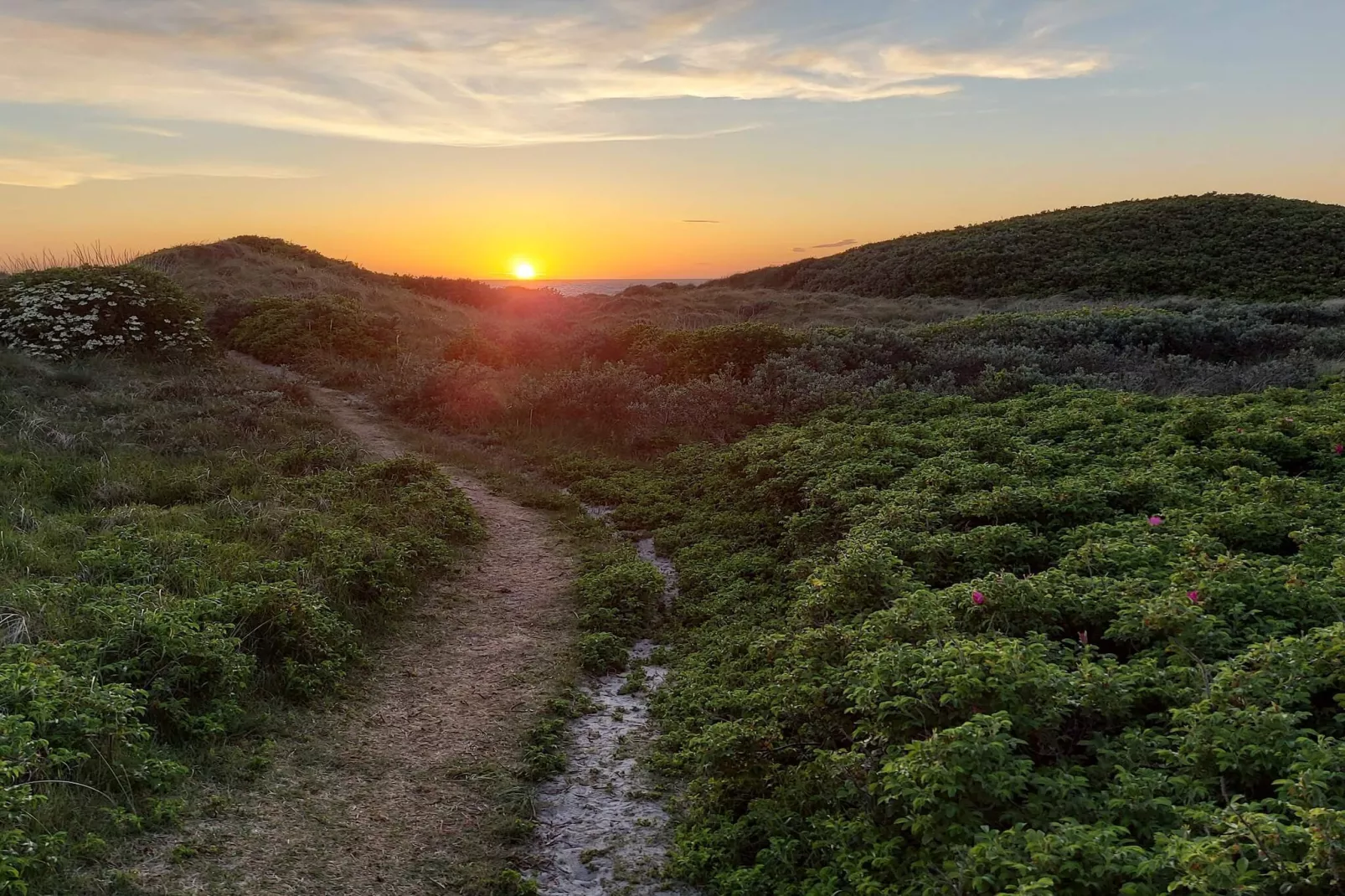 Bright Coastal Retreat in Vorupor-By Traum-Untagged