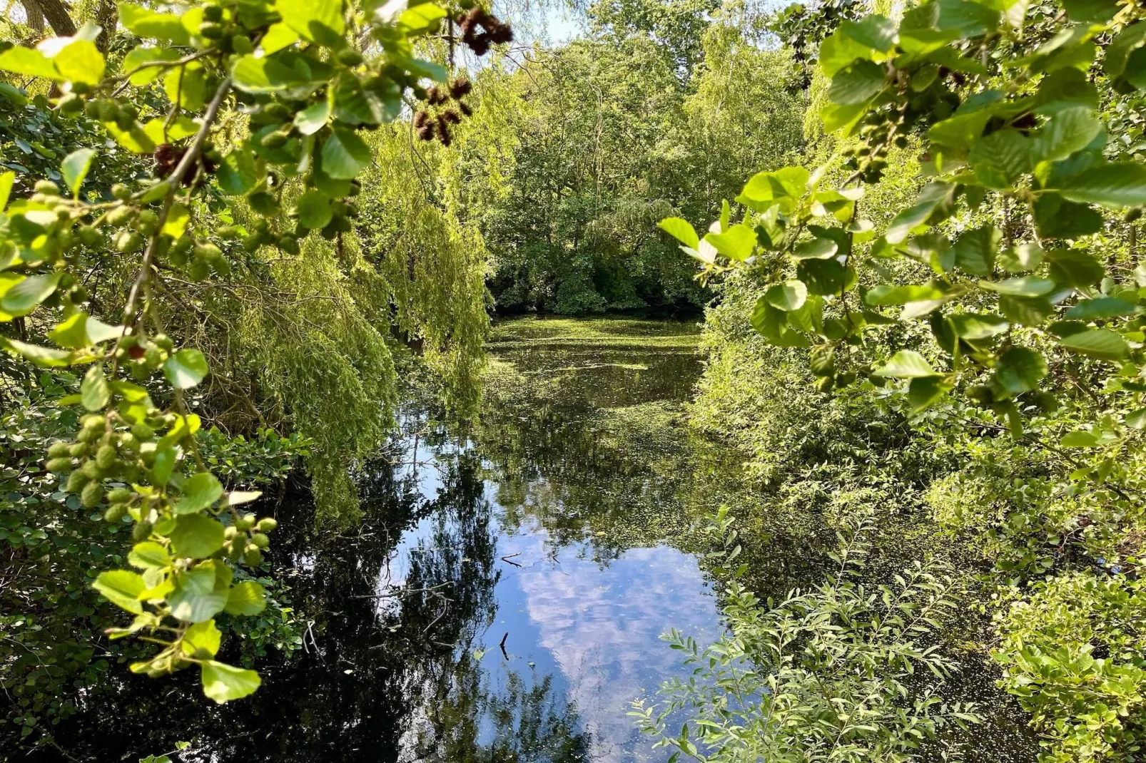 Maison de vacances pour 22 a Væggerløse-Vue sur l'eau