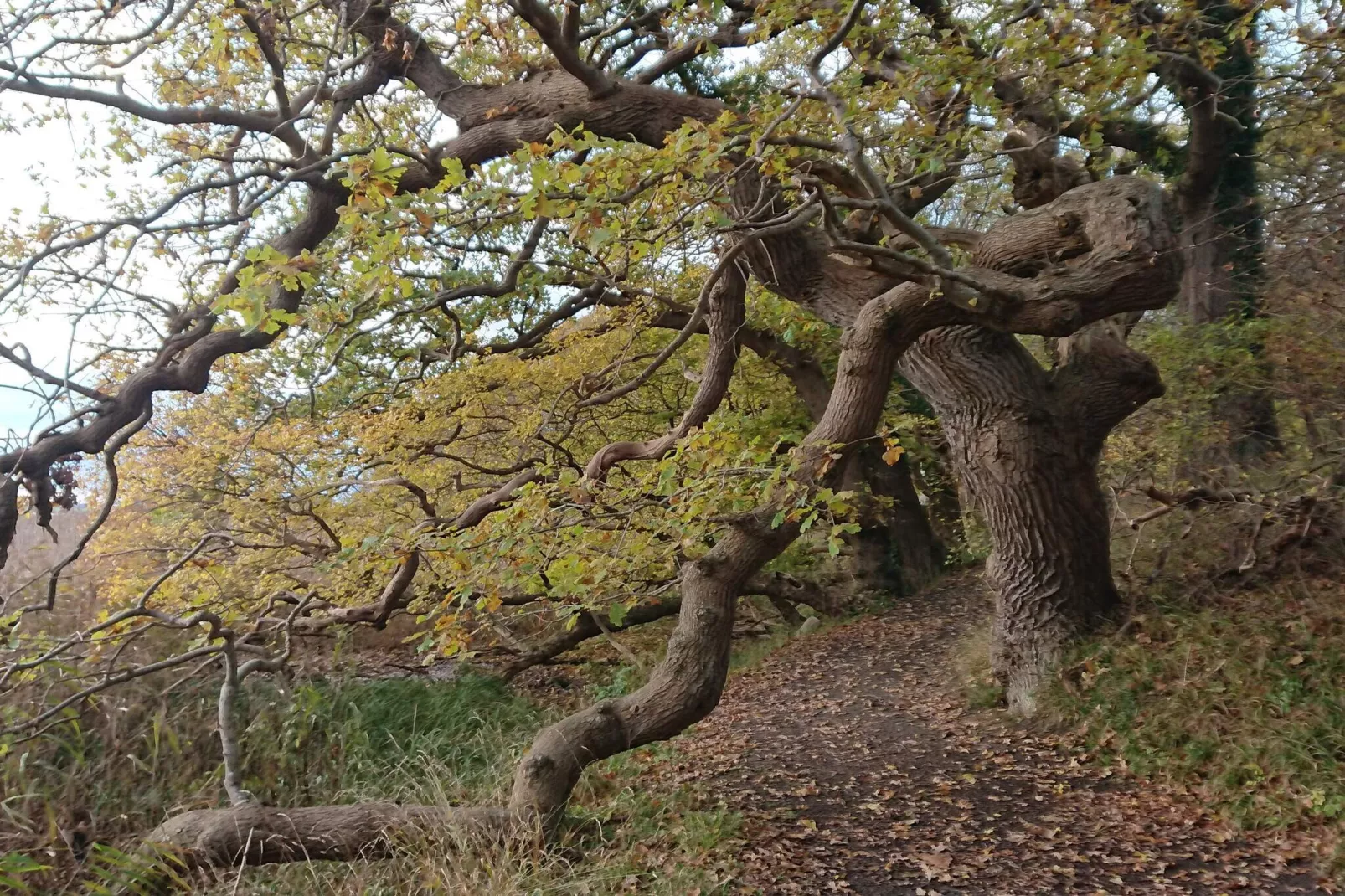 Maison de vacances pour 6 a Rude-Non tagué