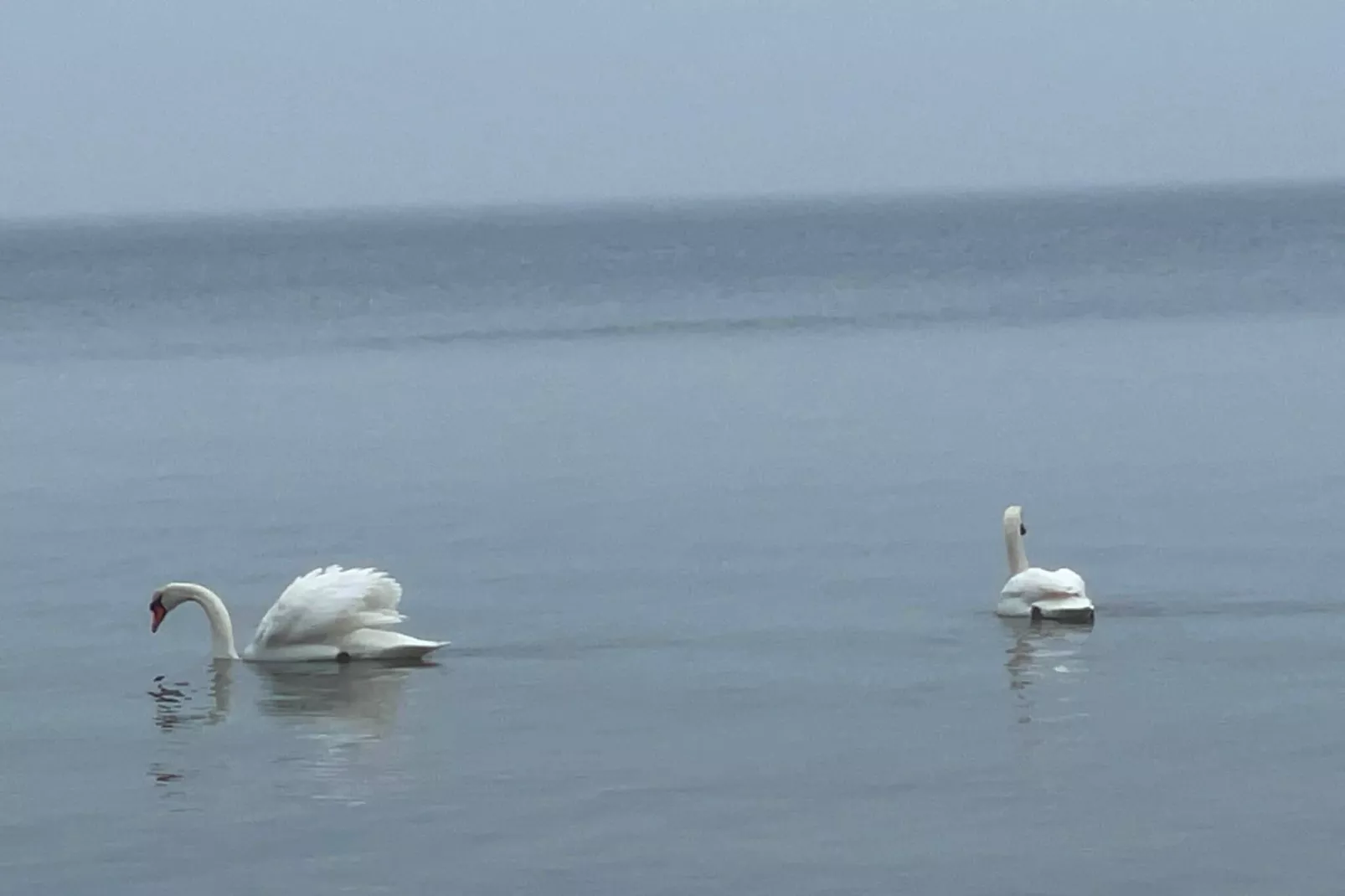 Serenite en bord de mer a Faldsled-By Traum-Vue sur l'eau