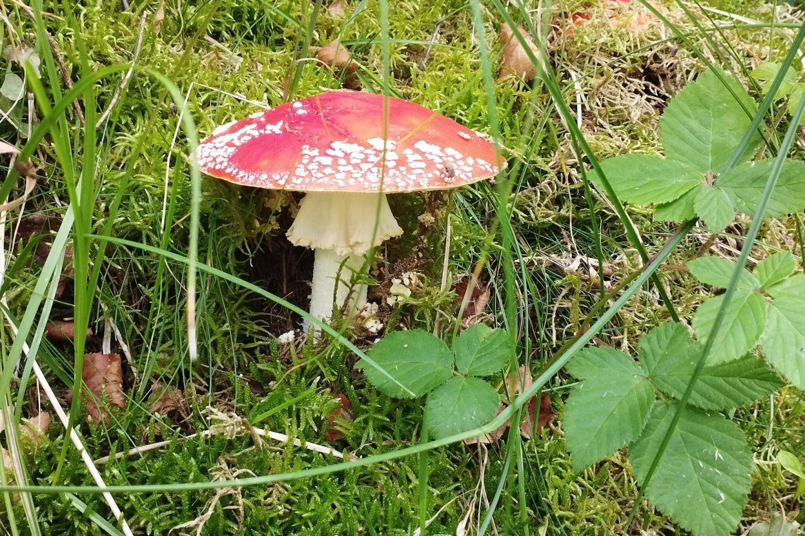 6 person holiday home in Hadsund-Untagged