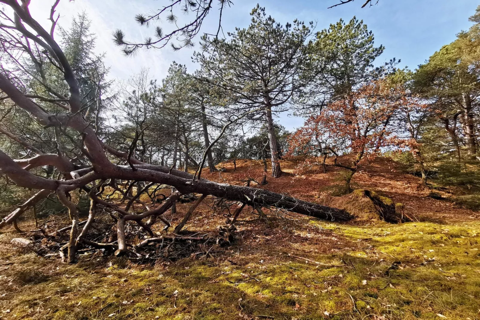 4 person holiday home in Oksbøl-Untagged