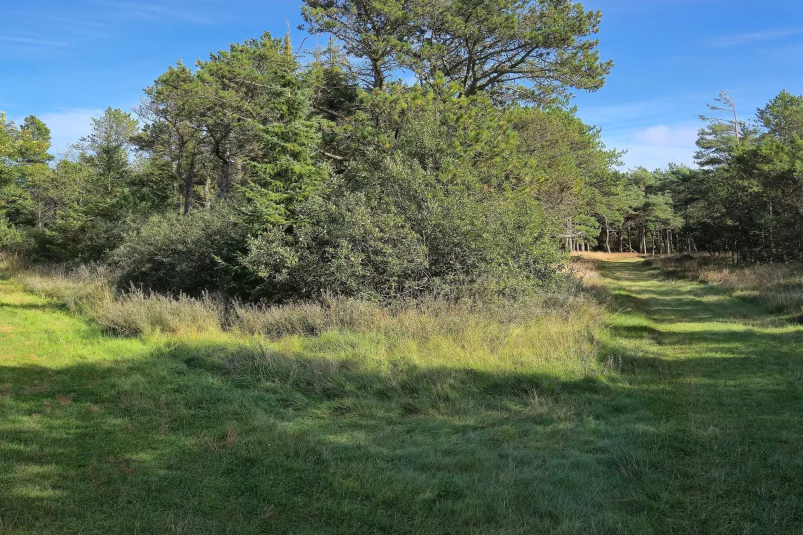 12 person holiday home in Rømø-Untagged